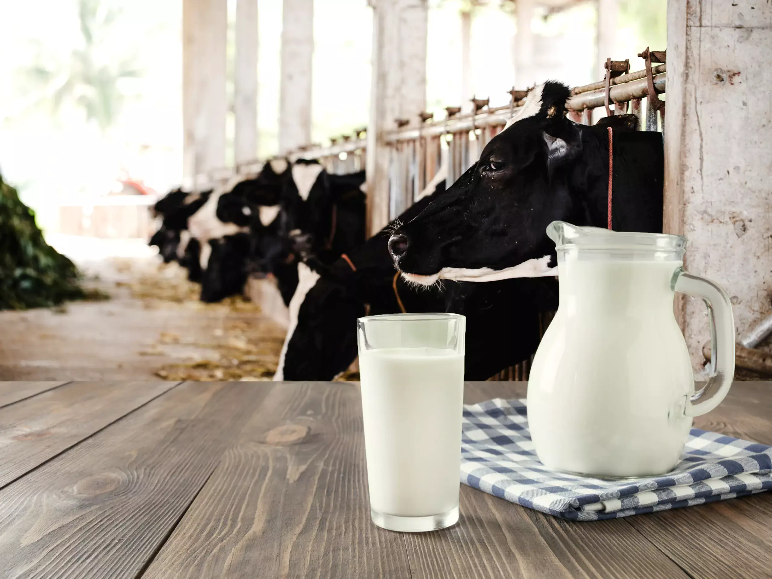 ഈ സാമ്പത്തിക വര്‍ഷം ഇന്ത്യയുടെ ക്ഷീര വ്യവസായ വരുമാനം 13-14% വളരും: ക്രിസില്‍ റേറ്റിംഗ്‌സ്