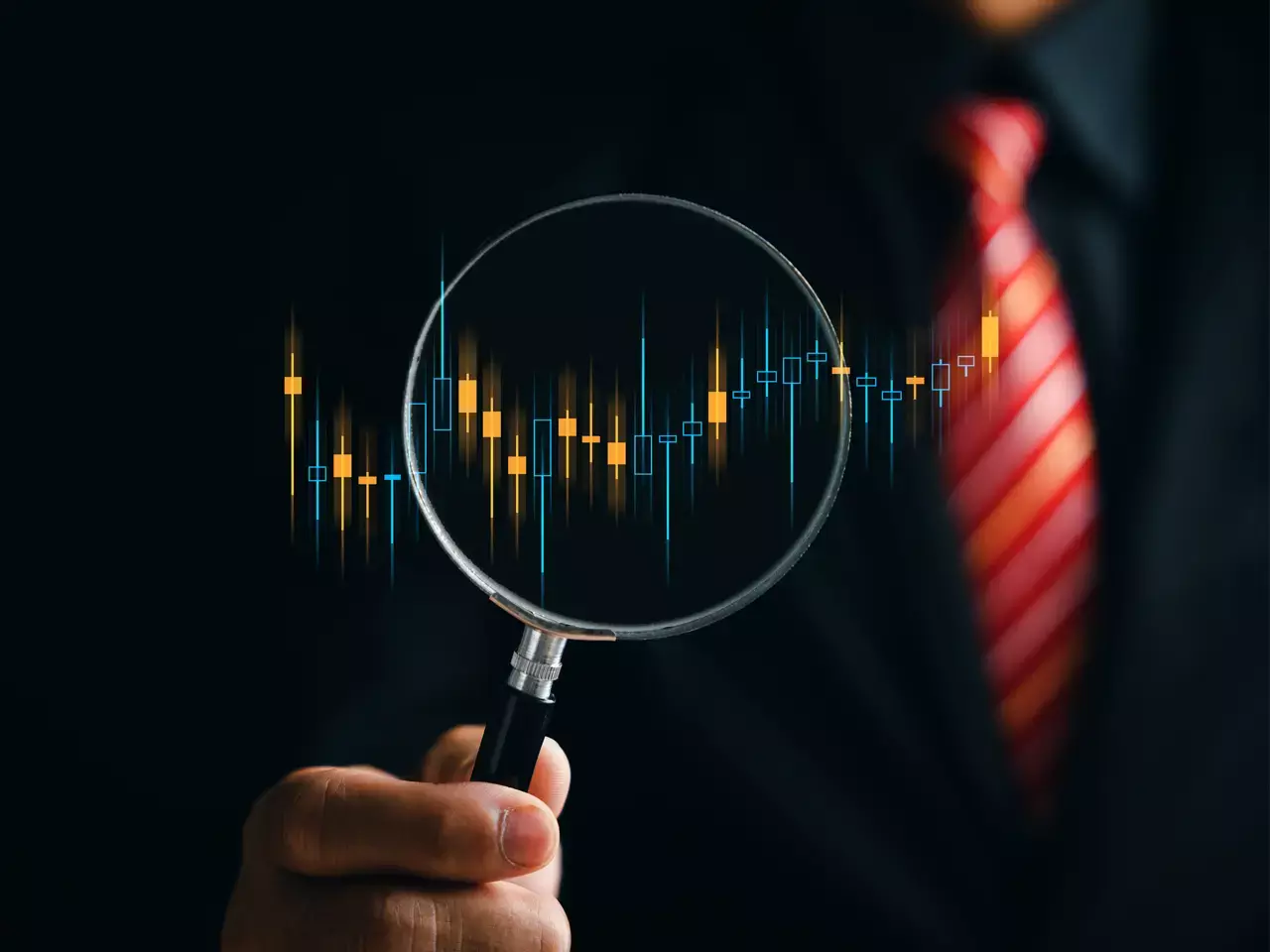 market this week (august 12-18)