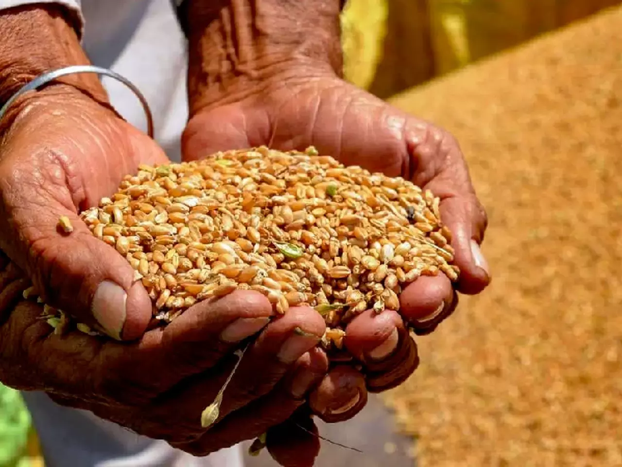 wheat prices soar, millers seek help