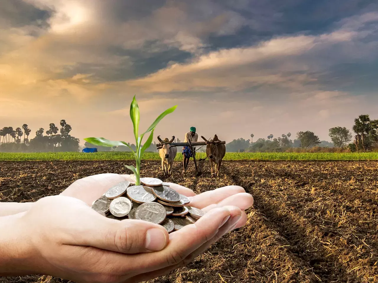 14,000 crore has been sanctioned by the Center for agricultural assistance and schemes