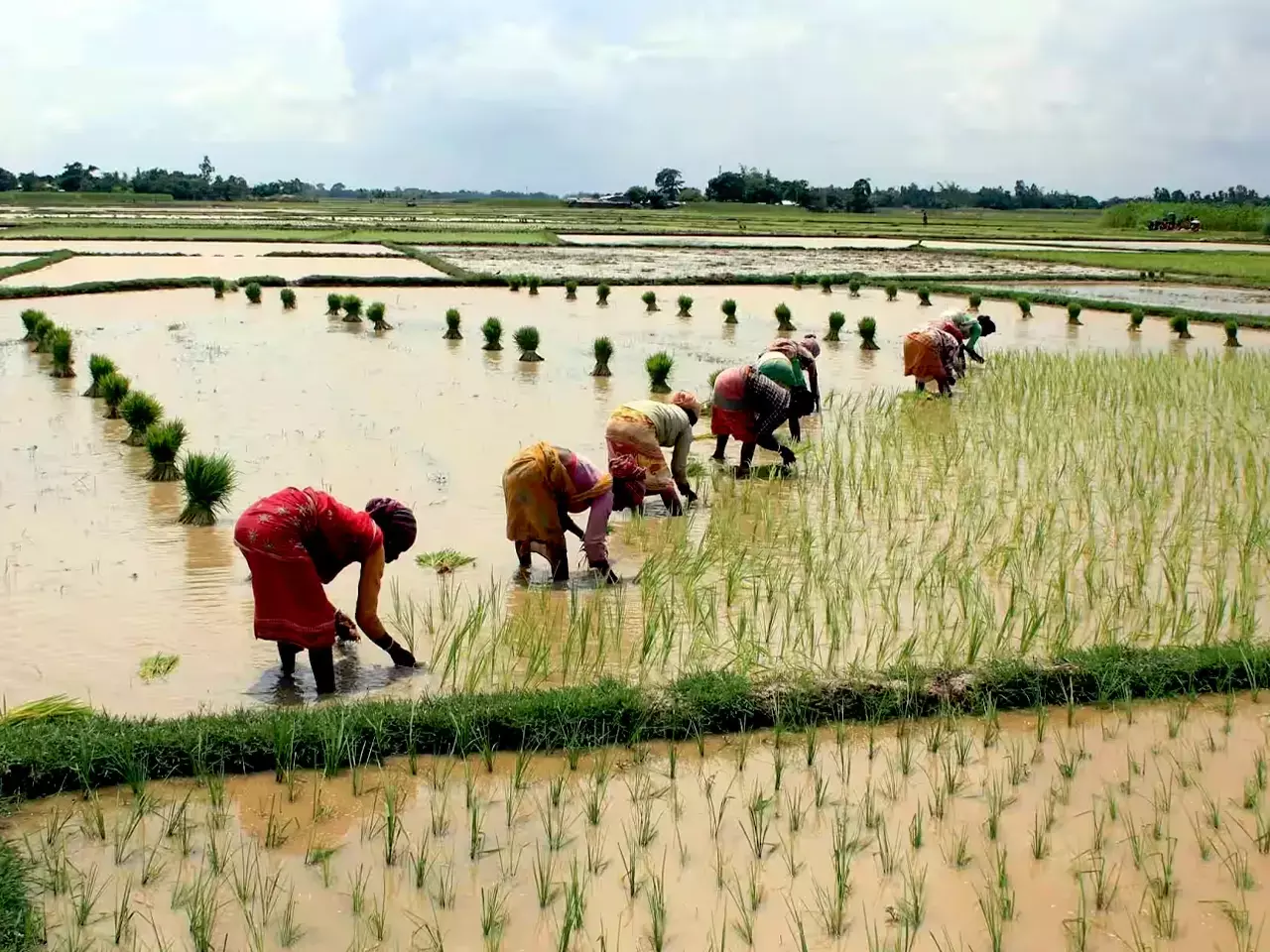 kharif sowing, outlook improves