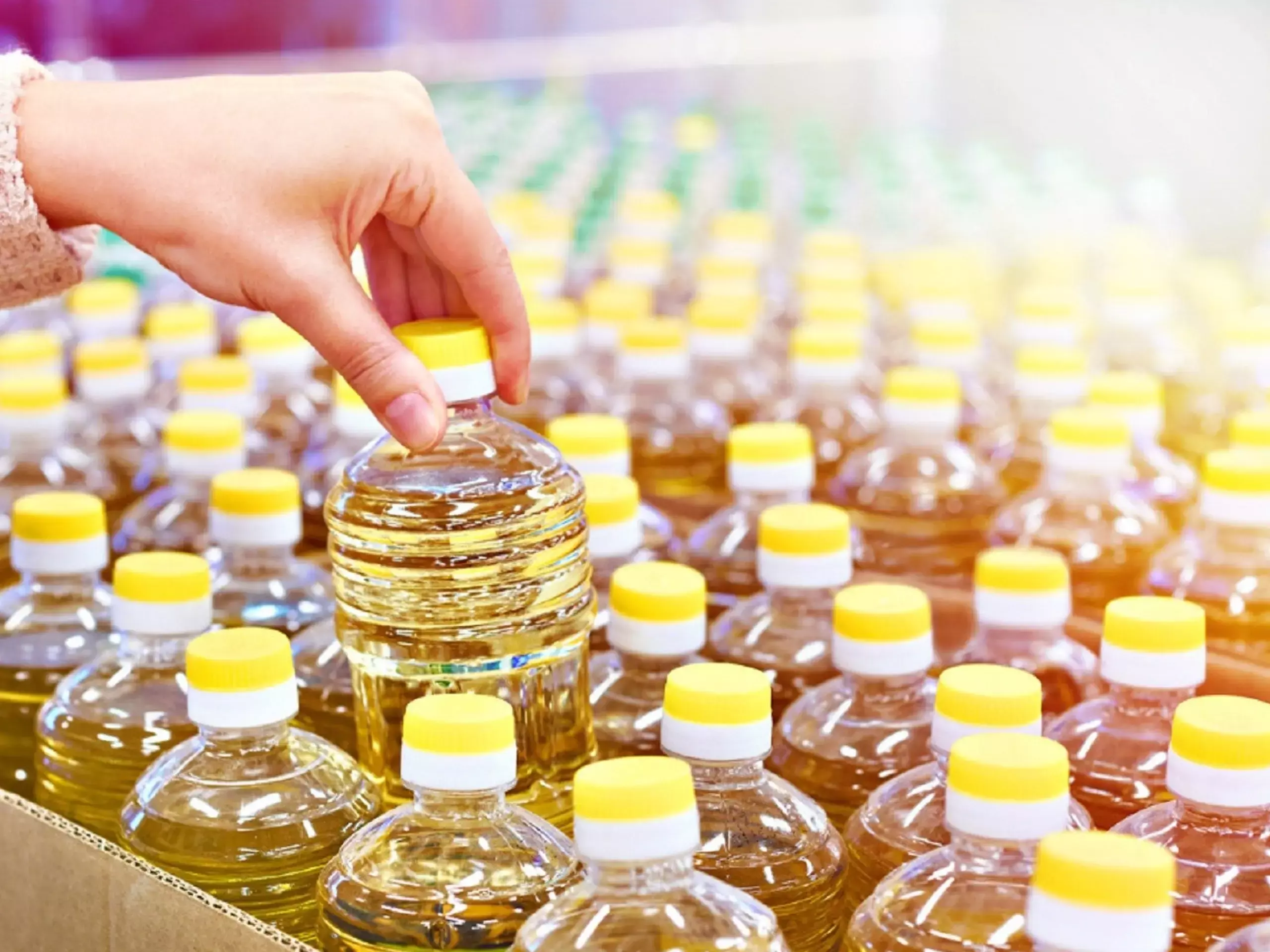 പാം ഓയില്‍ ഇറക്കുമതി റിഫൈനറികള്‍ റദ്ദാക്കി