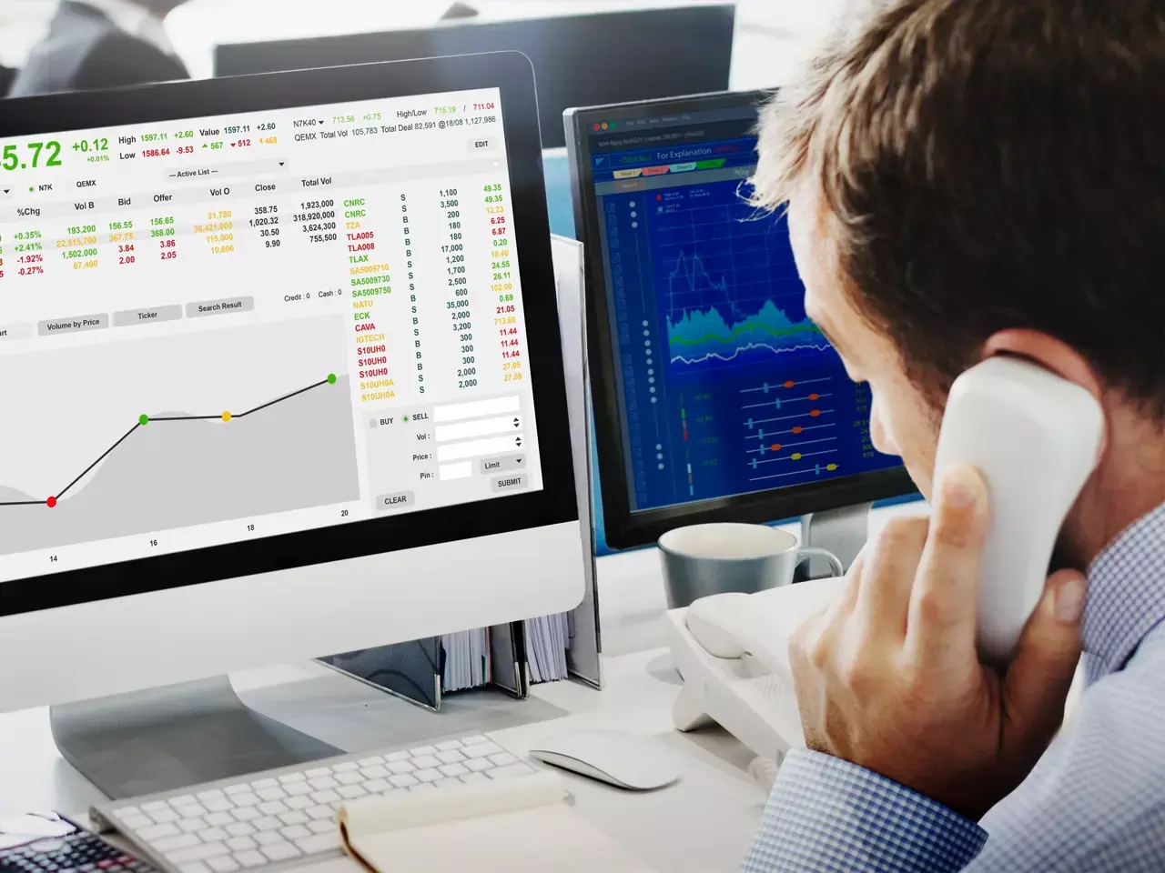 market this week (october 06-12)