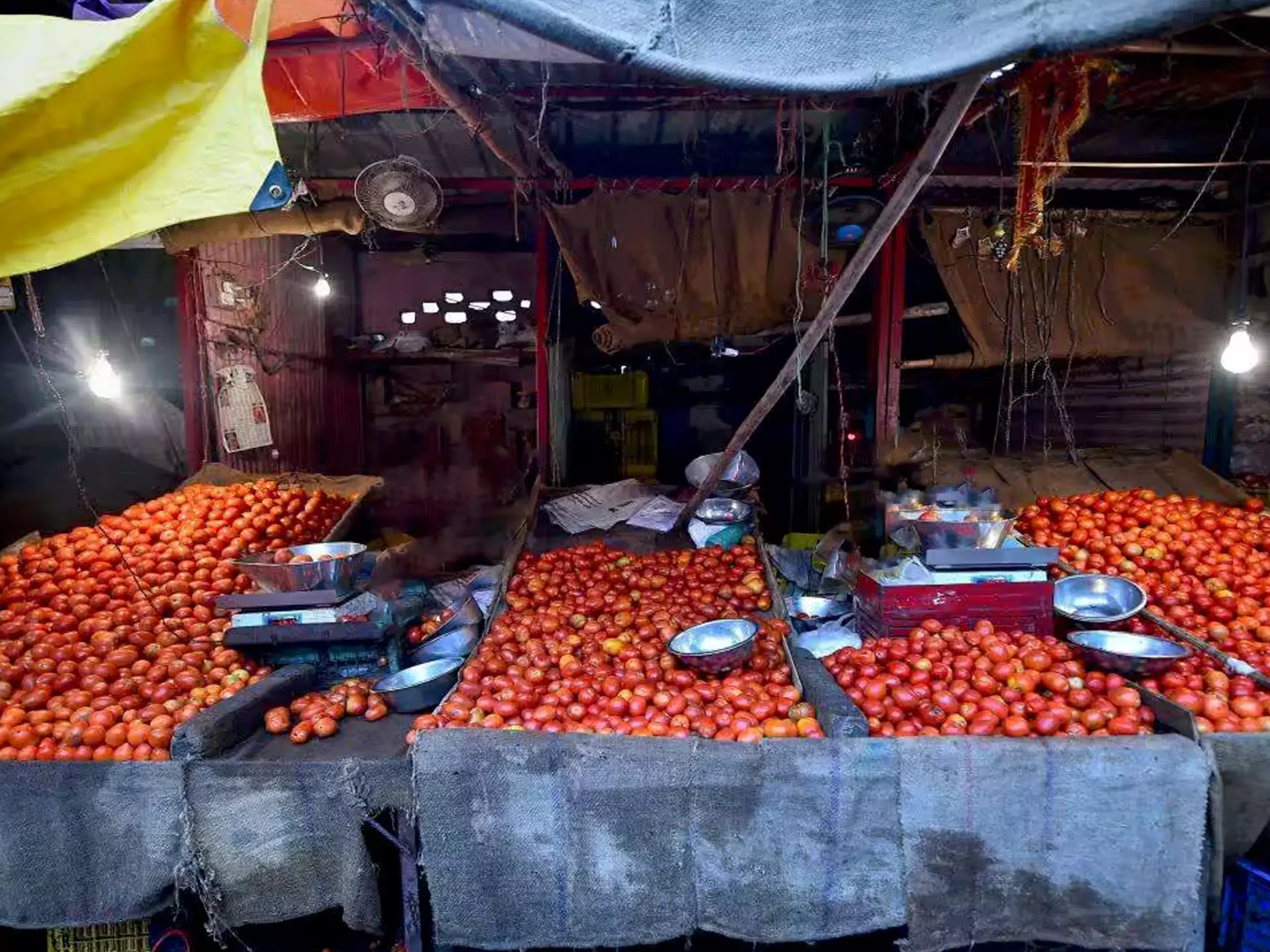 സെഞ്ച്വറി അടിച്ച് തക്കാളി വില