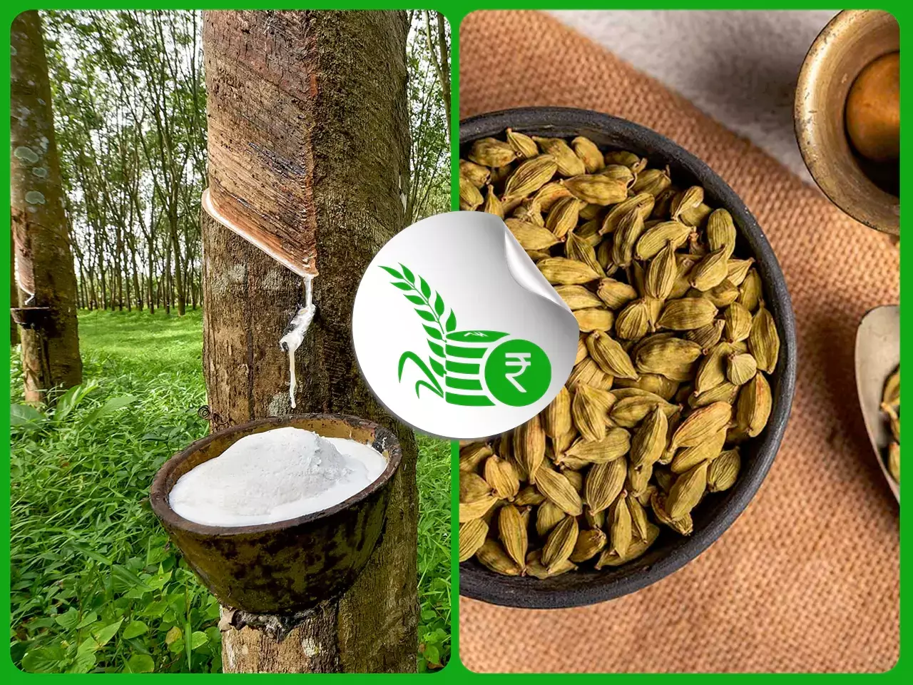 റബറിന് ഇന്നും കാലിടറി;  ഏലക്ക വില്‍പ്പന സജീവം