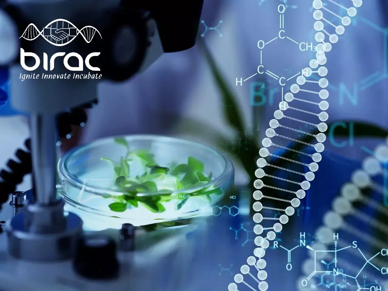 more investment is needed in the biotechnology sector