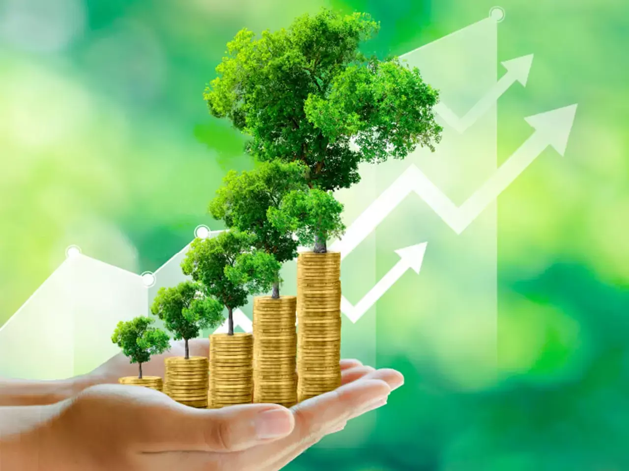 indian midcap and smallcap stocks soar