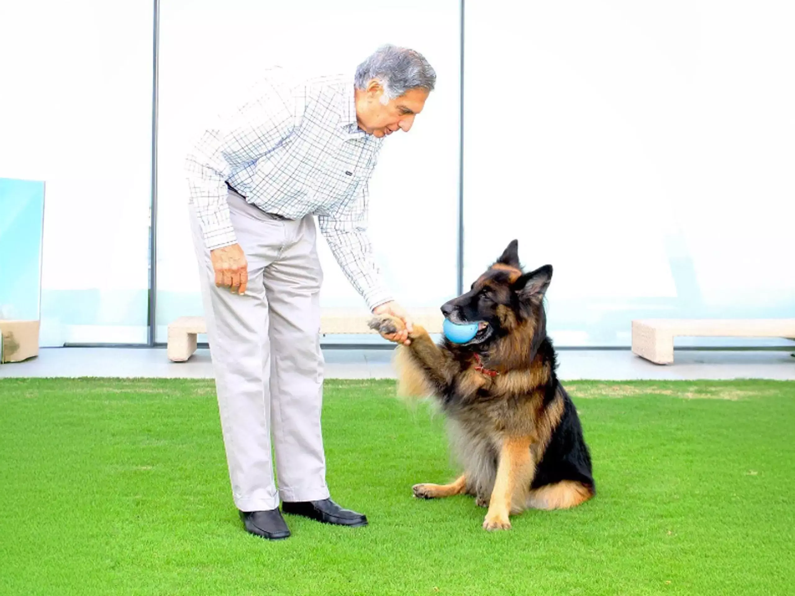 കരുതൽ ! രത്തൻ ടാറ്റയുടെ സ്വത്തില്‍ ഒരു പങ്ക് നായ ടിറ്റോയ്ക്ക്