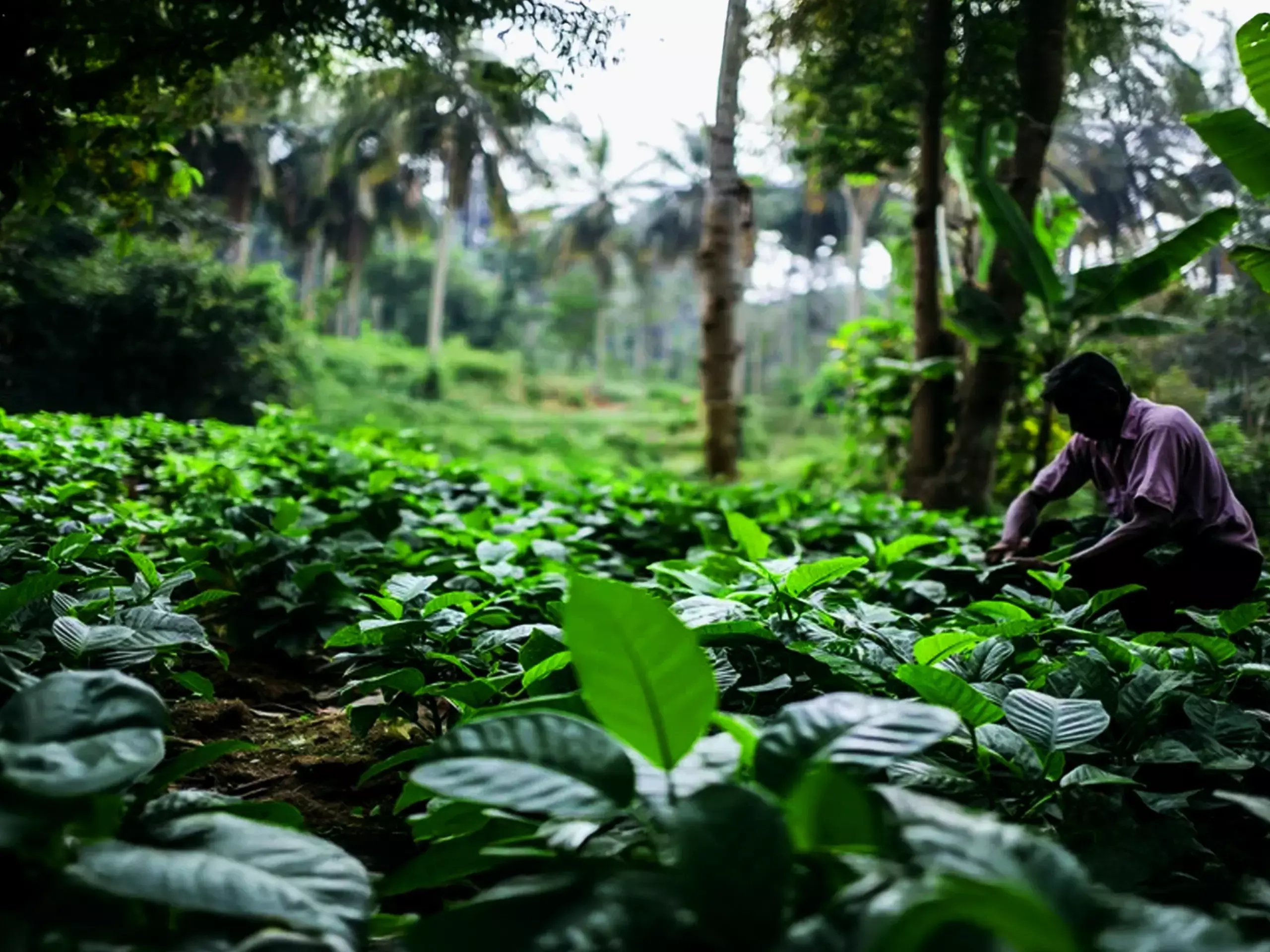 സംസ്ഥാനത്തെ കര്‍ഷകര്‍ക്ക് ലോകബാങ്ക് സഹായം