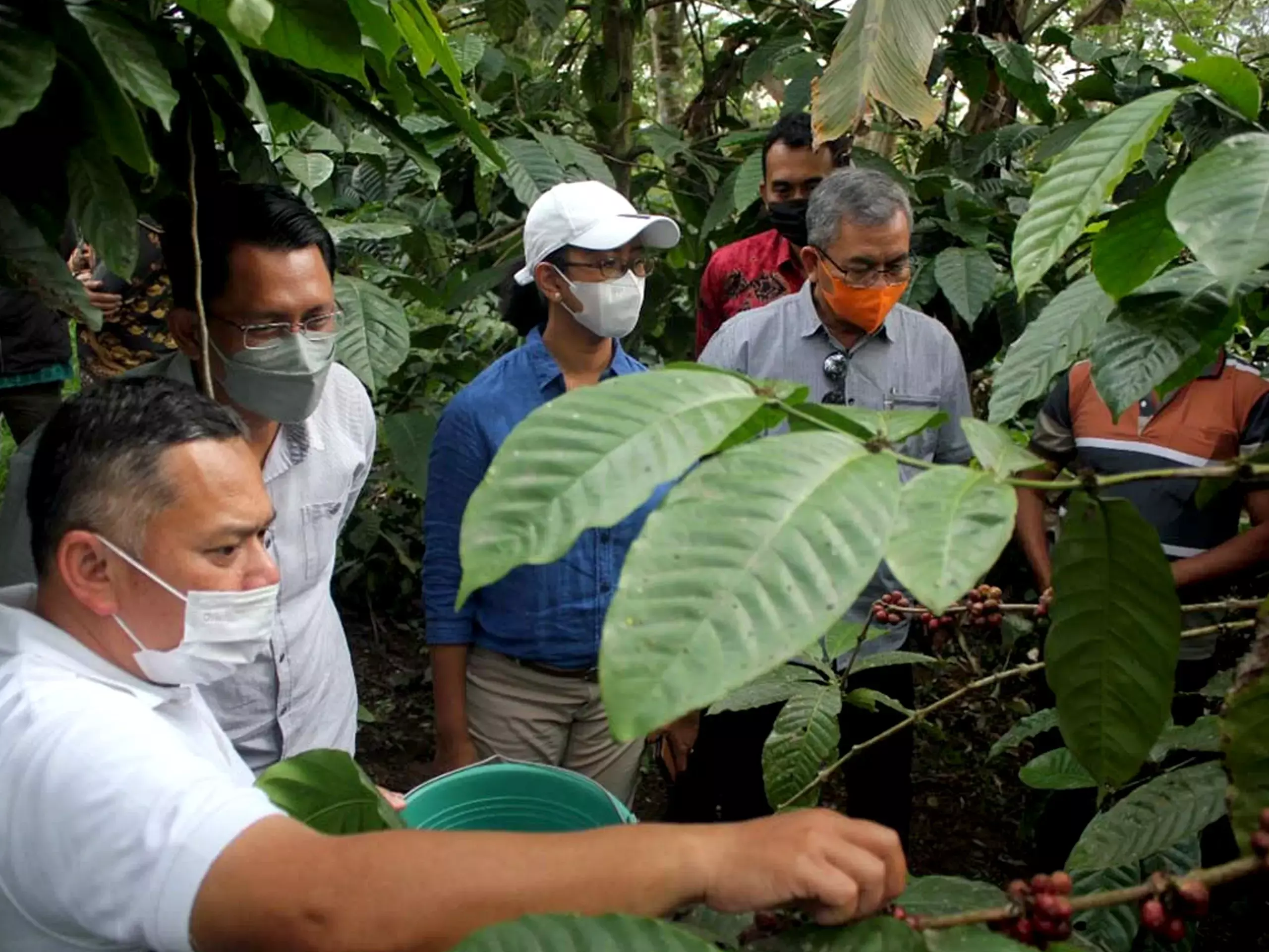 കേര പദ്ധതിക്ക് ലോക ബാങ്കിൻ്റെ അംഗീകാരം, 2365.5 കോടി രൂപ സംസ്ഥാനത്തിന് ലഭിക്കും