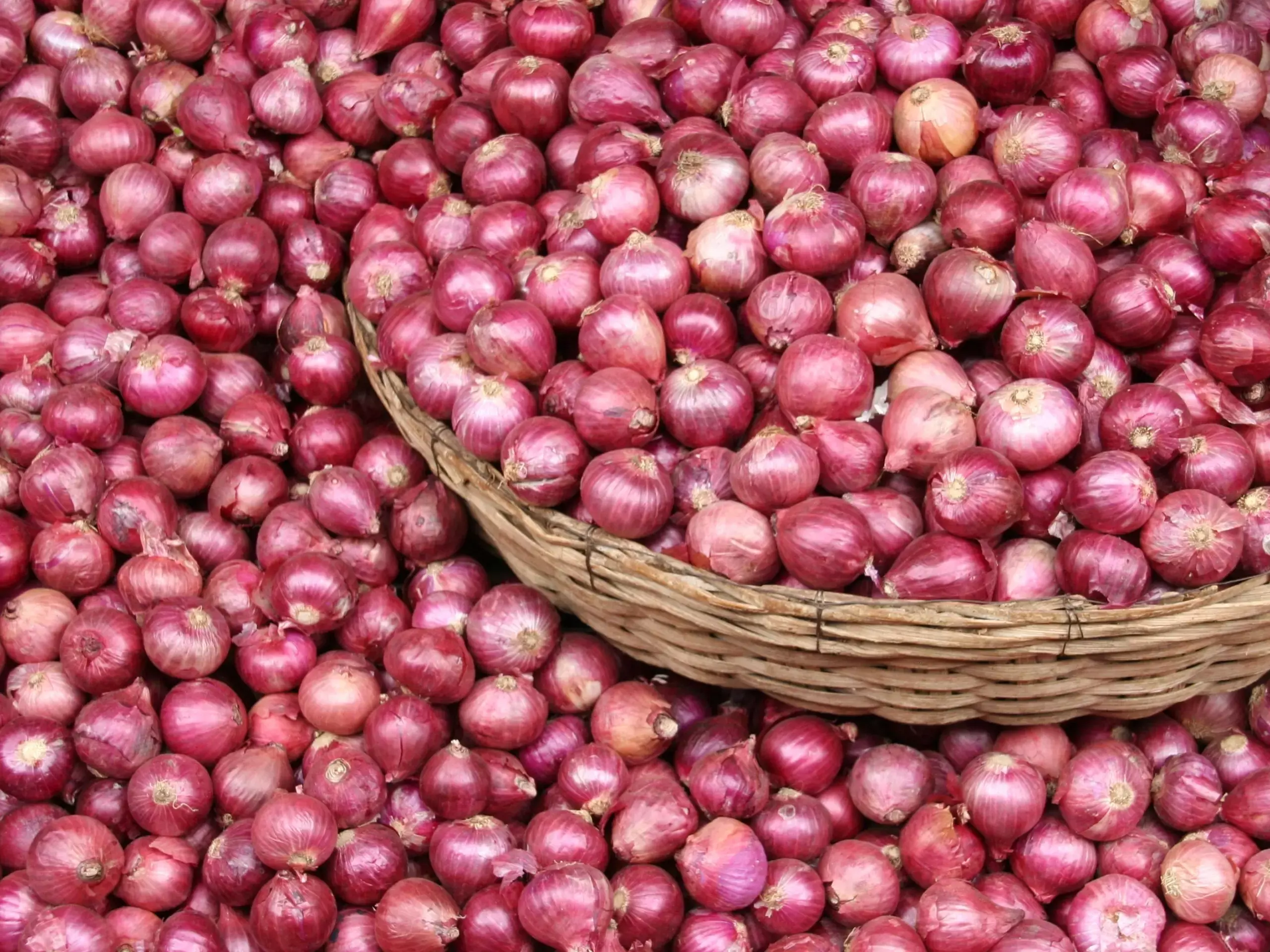 onion price hike onion price hike