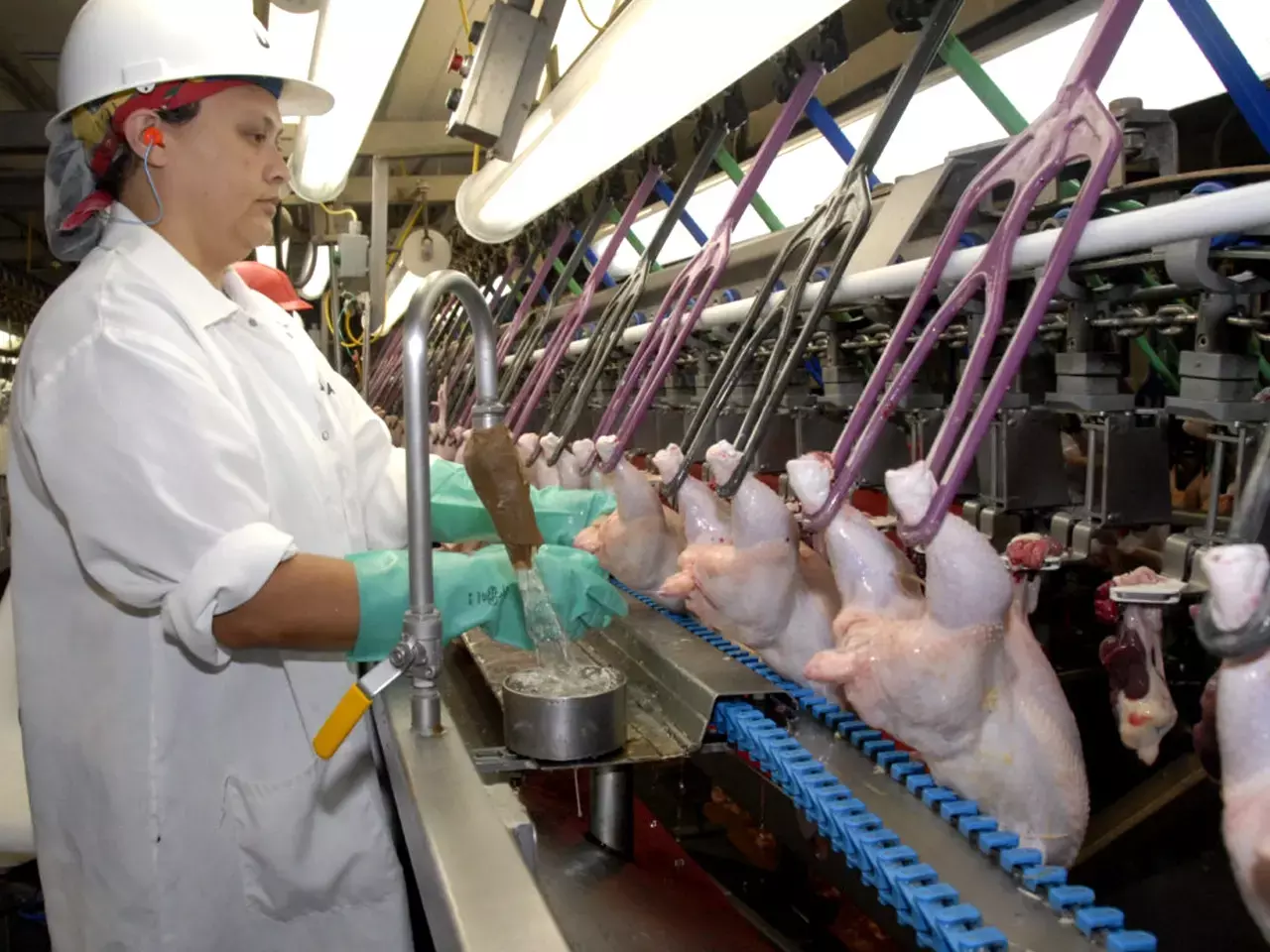 us turkey poultry products now onto india
