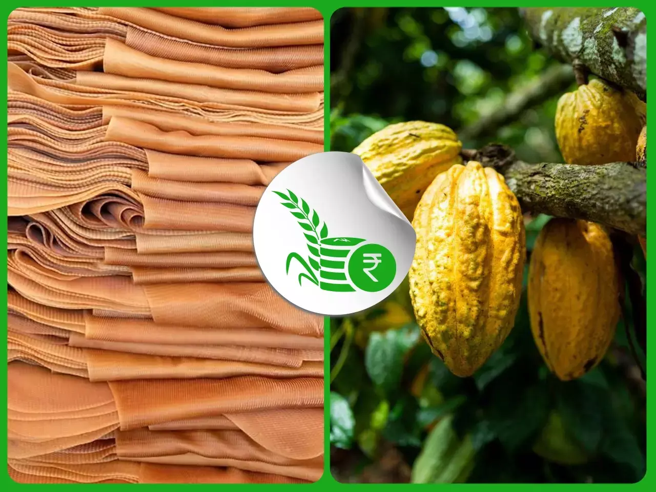 റബര്‍ വില്‍പ്പന നിര്‍ത്തിവെക്കാന്‍ നീക്കം;   കൊക്കോവില ഉയരുന്നു