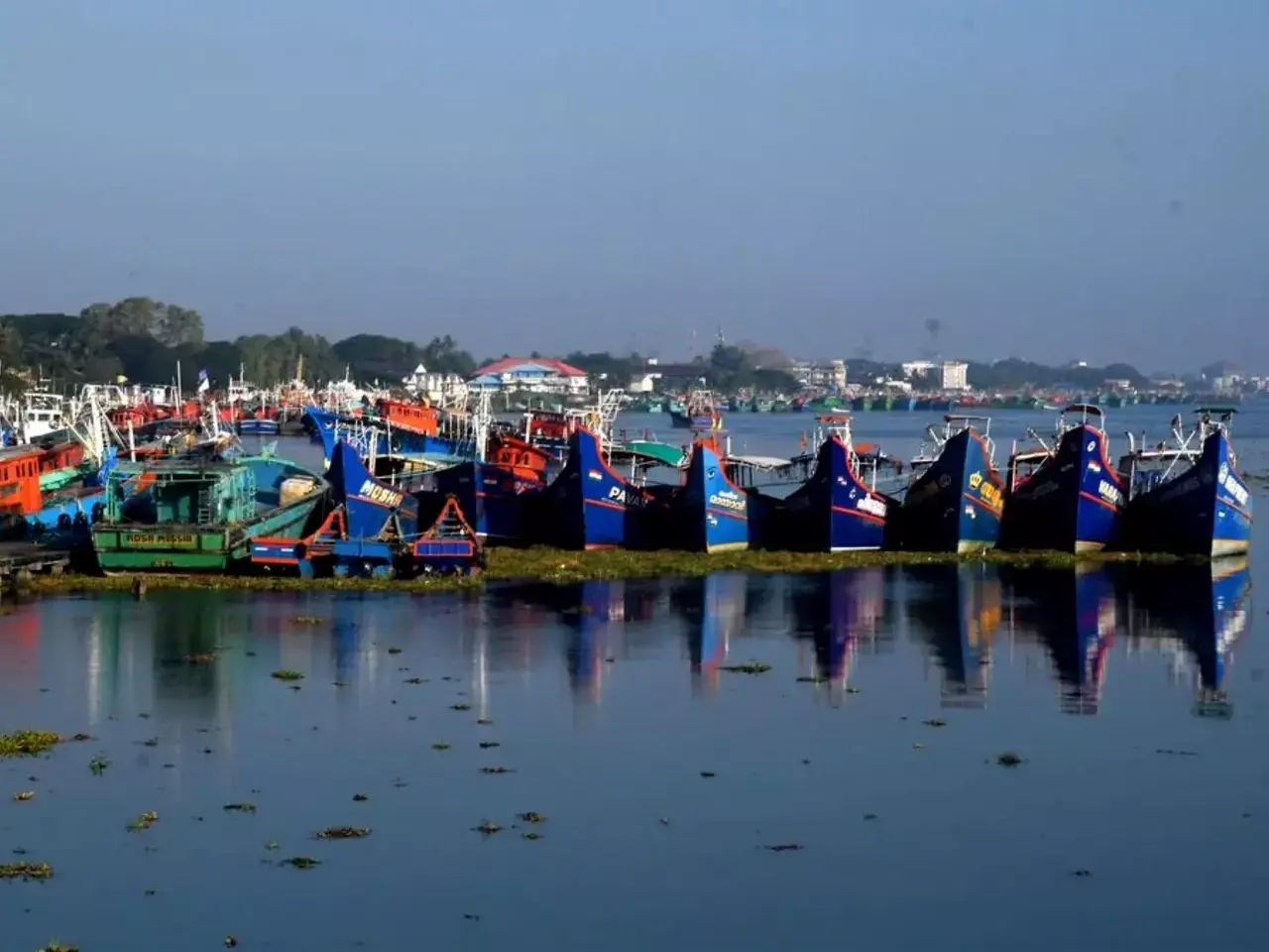 central fisheries awards announced, kerala wins two awards