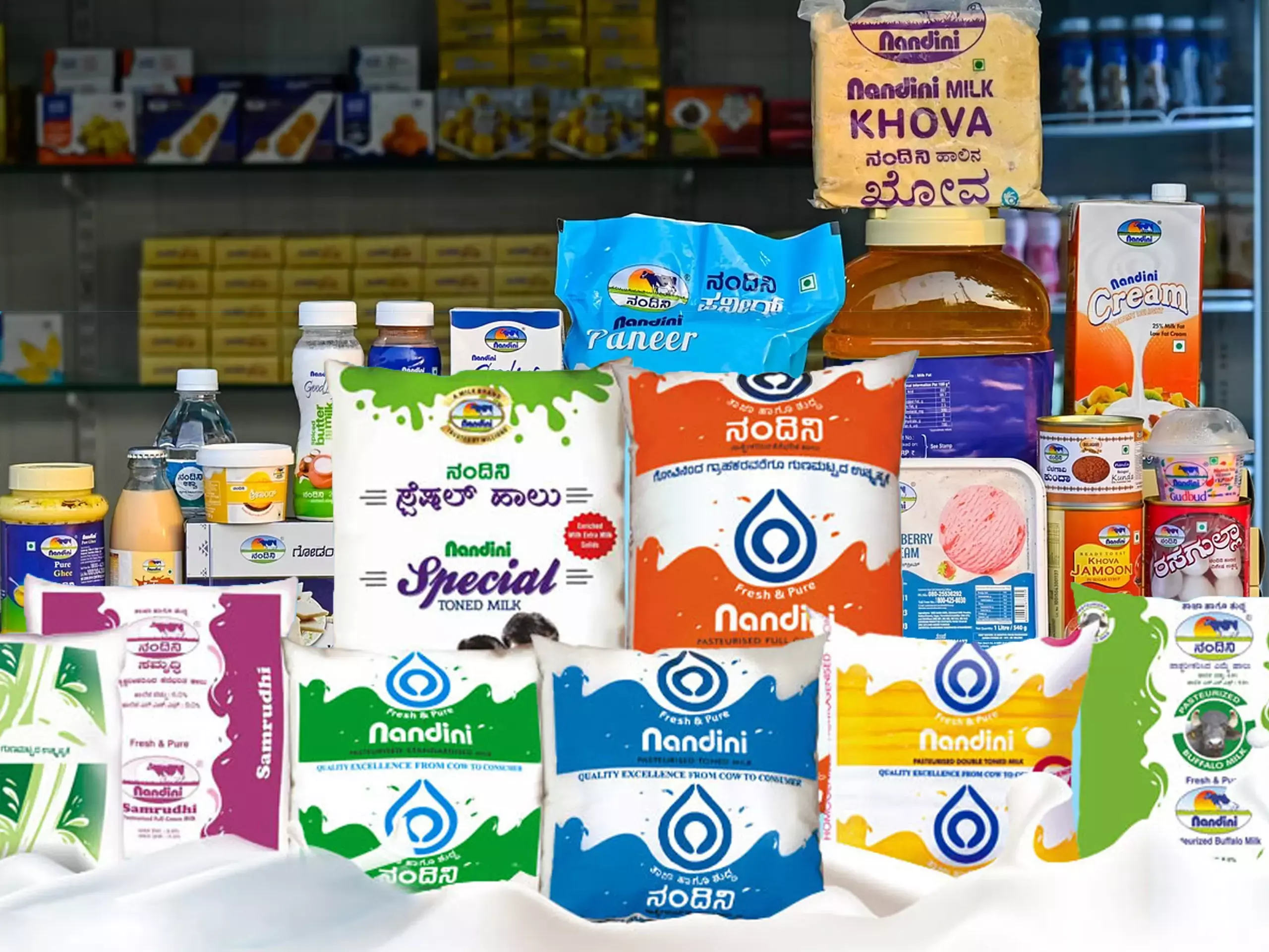 നന്ദിനി ഡെല്‍ഹിയിലിറങ്ങി