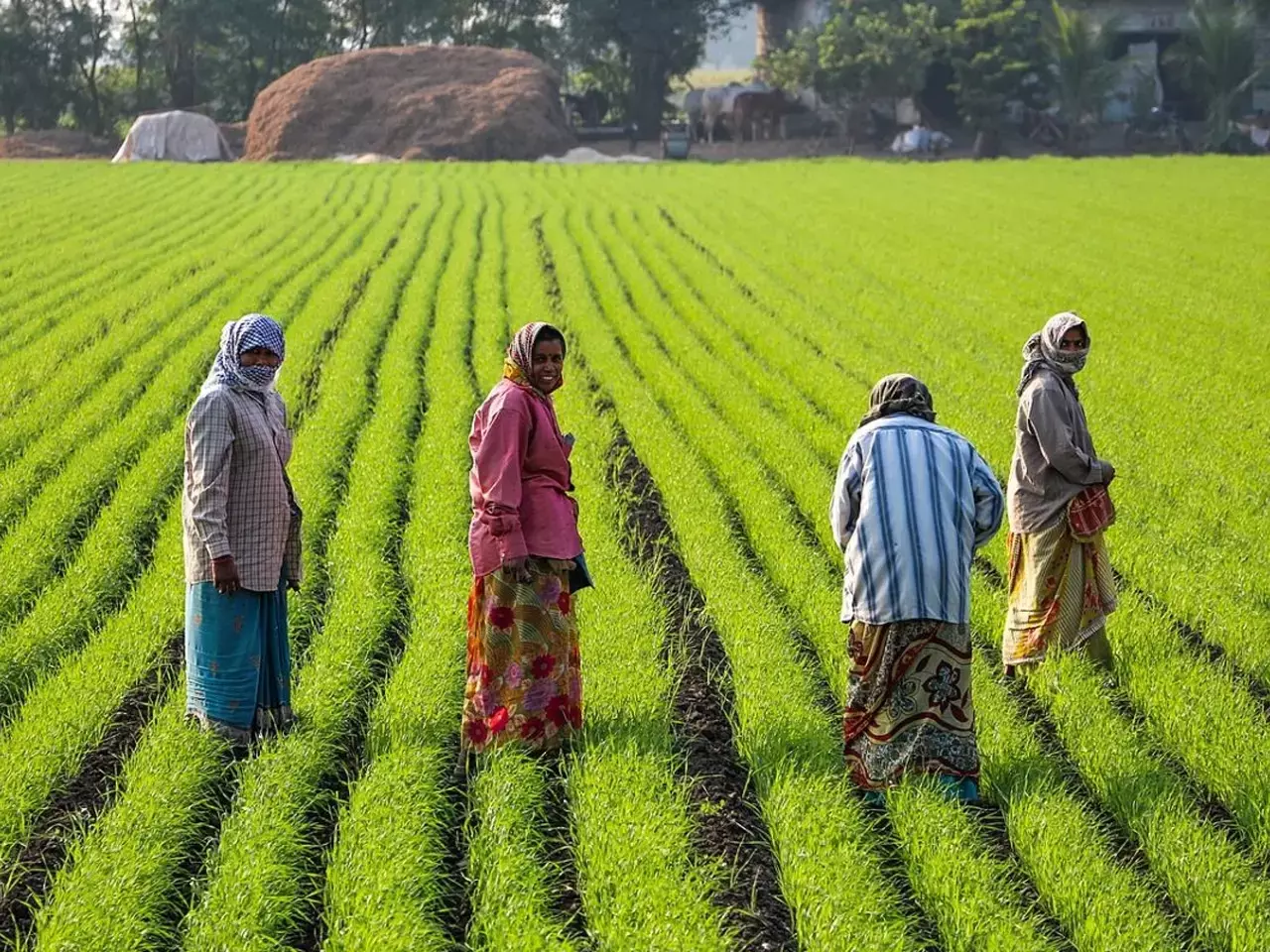 govt launches national mission to promote natural farming