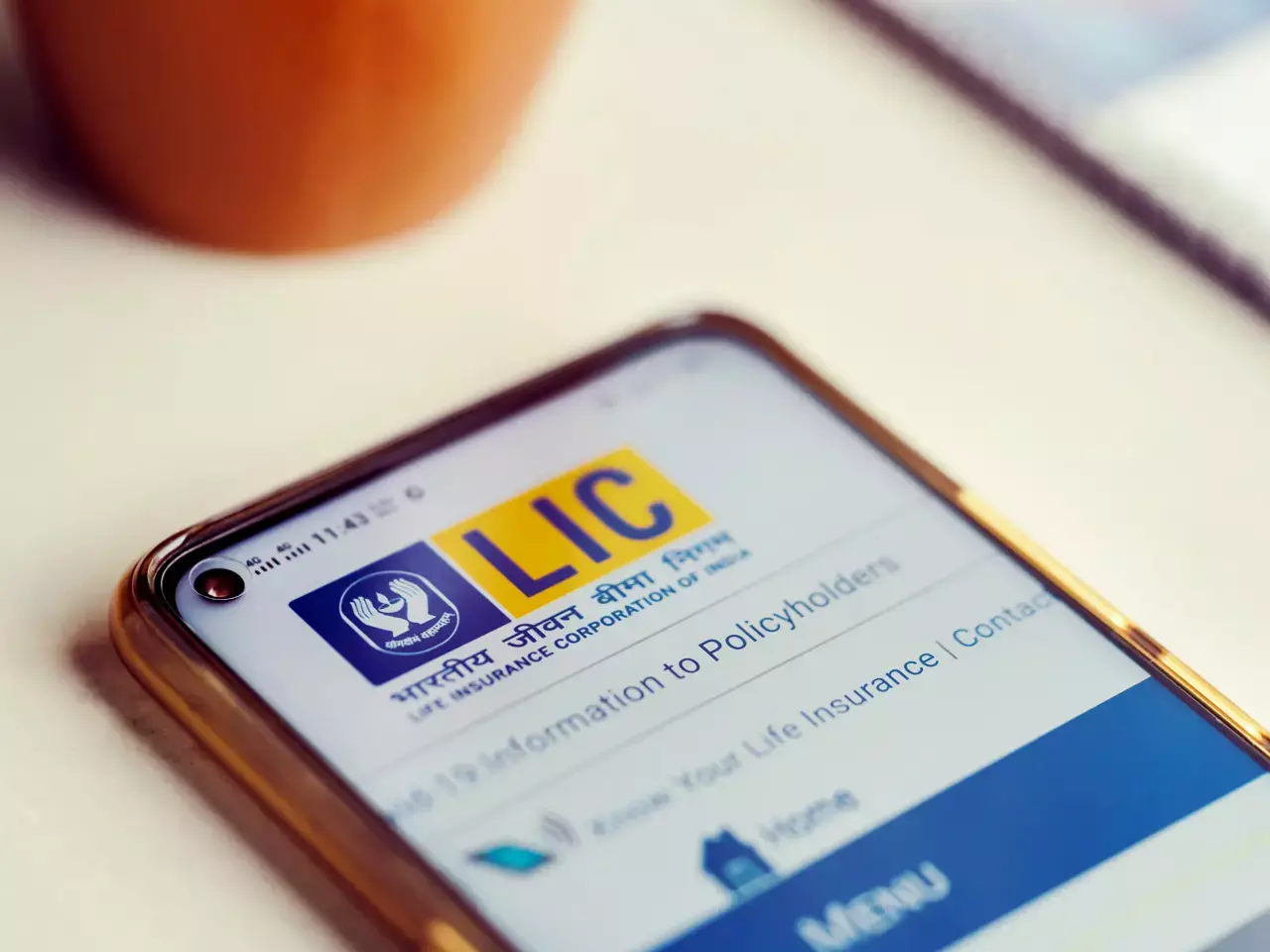 lic was the biggest gainer in market value