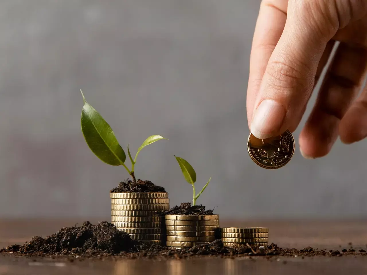 inflows into equity mutual funds have reportedly declined inflows into equity mutual funds have reportedly declined