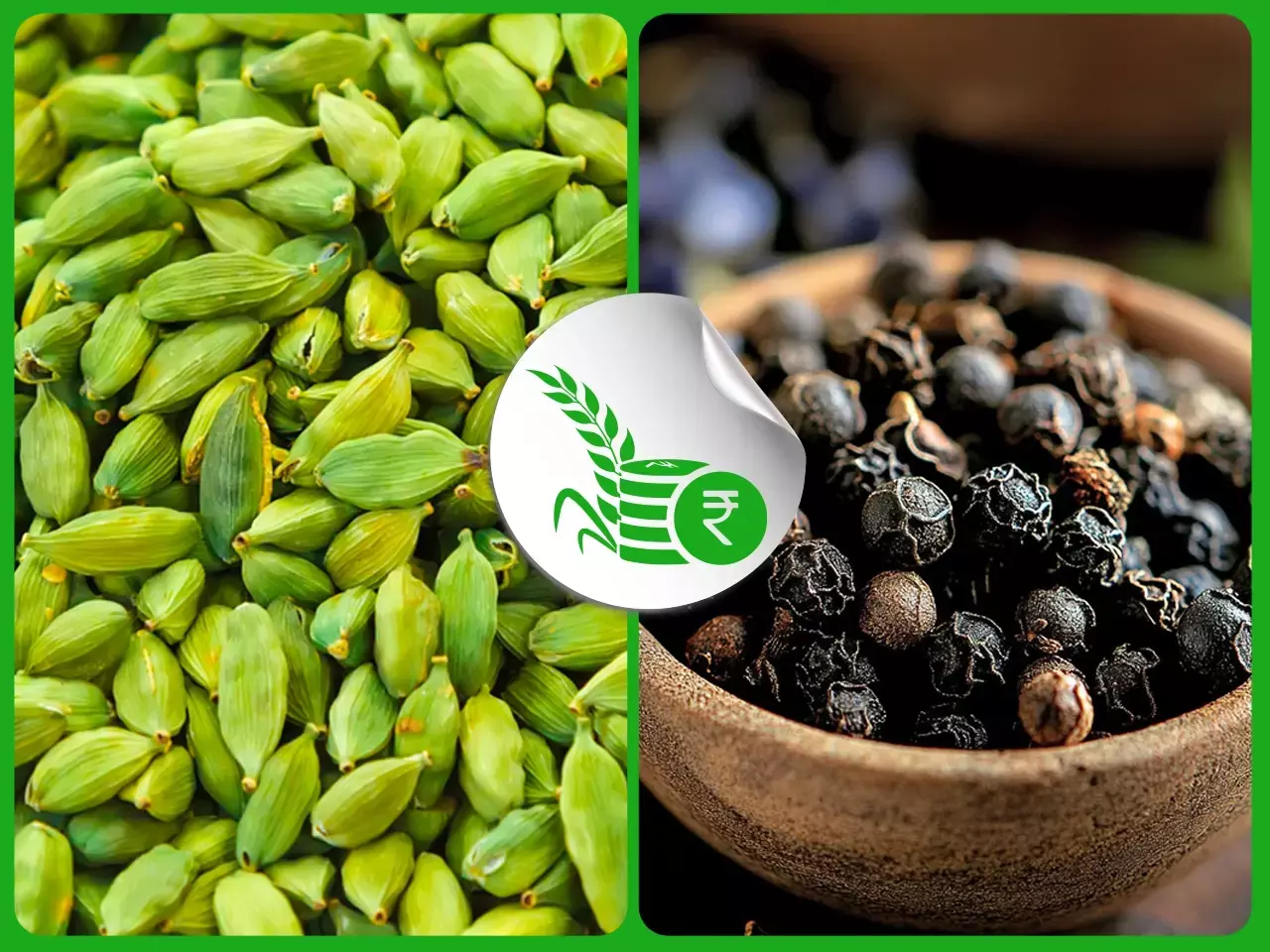 ഏലക്കാ വില കുറഞ്ഞു;   എരിവ് കൂടി കുരുമുളക്