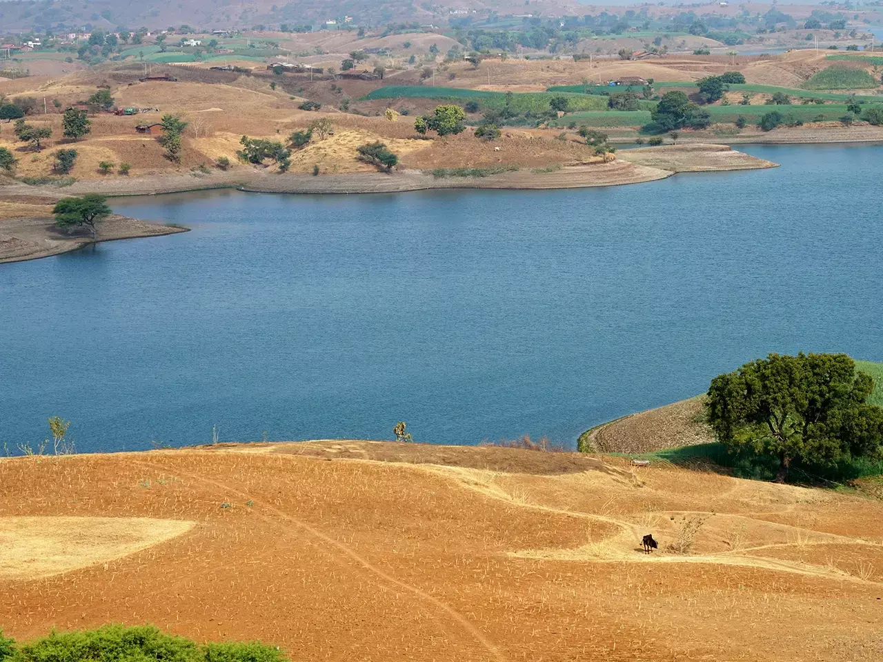 solution to water shortage, plan to link 11 rivers in rajasthan