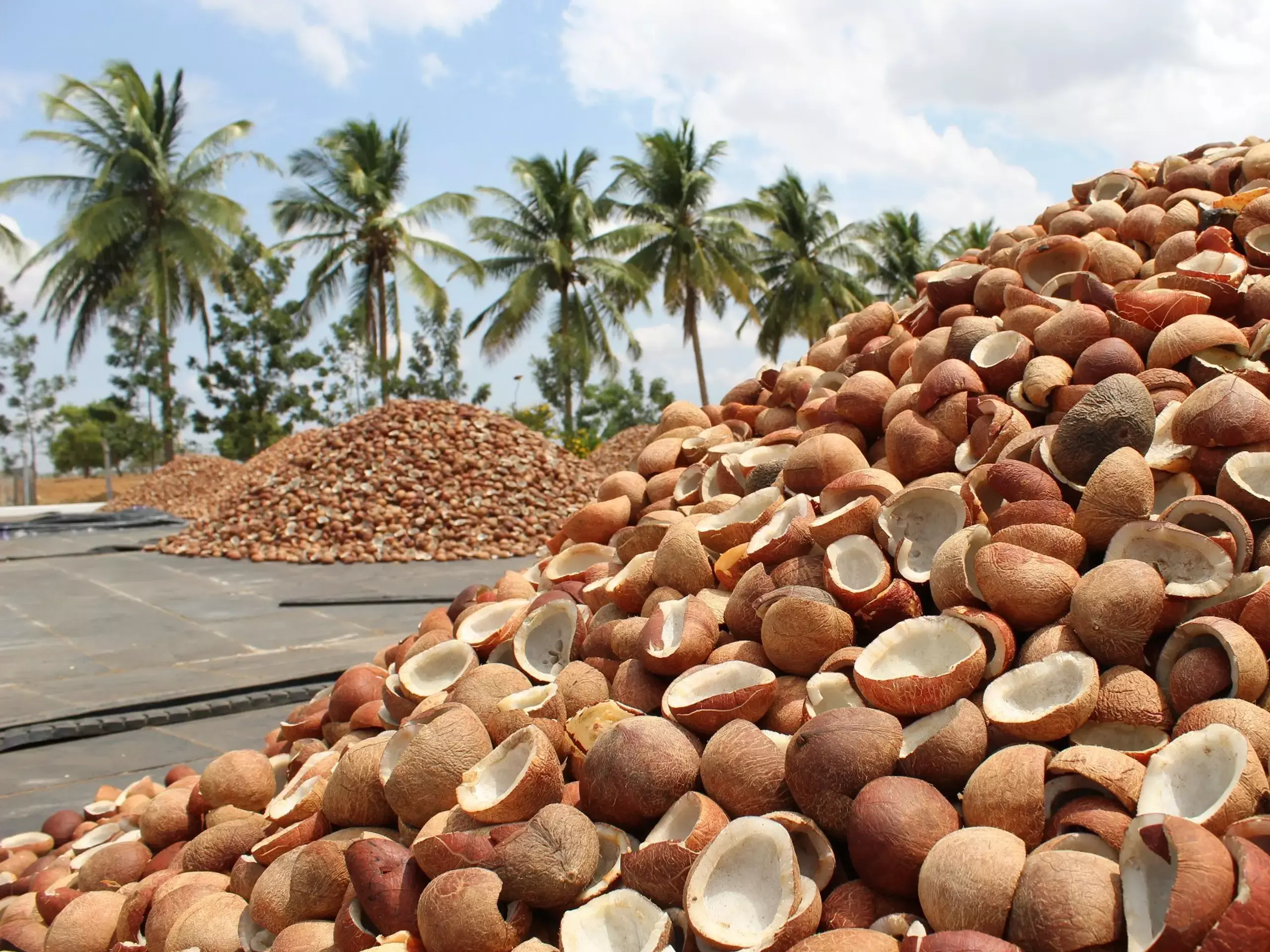 കര്ഷകര്ക്ക് ആശ്വാസമായി കേന്ദ്ര തീരുമാനം, കൊപ്രയുടെ താങ്ങുവില വര്ധിപ്പിച്ചു കര്ഷകര്ക്ക് ആശ്വാസമായി കേന്ദ്ര തീരുമാനം, കൊപ്രയുടെ താങ്ങുവില വര്ധിപ്പിച്ചു