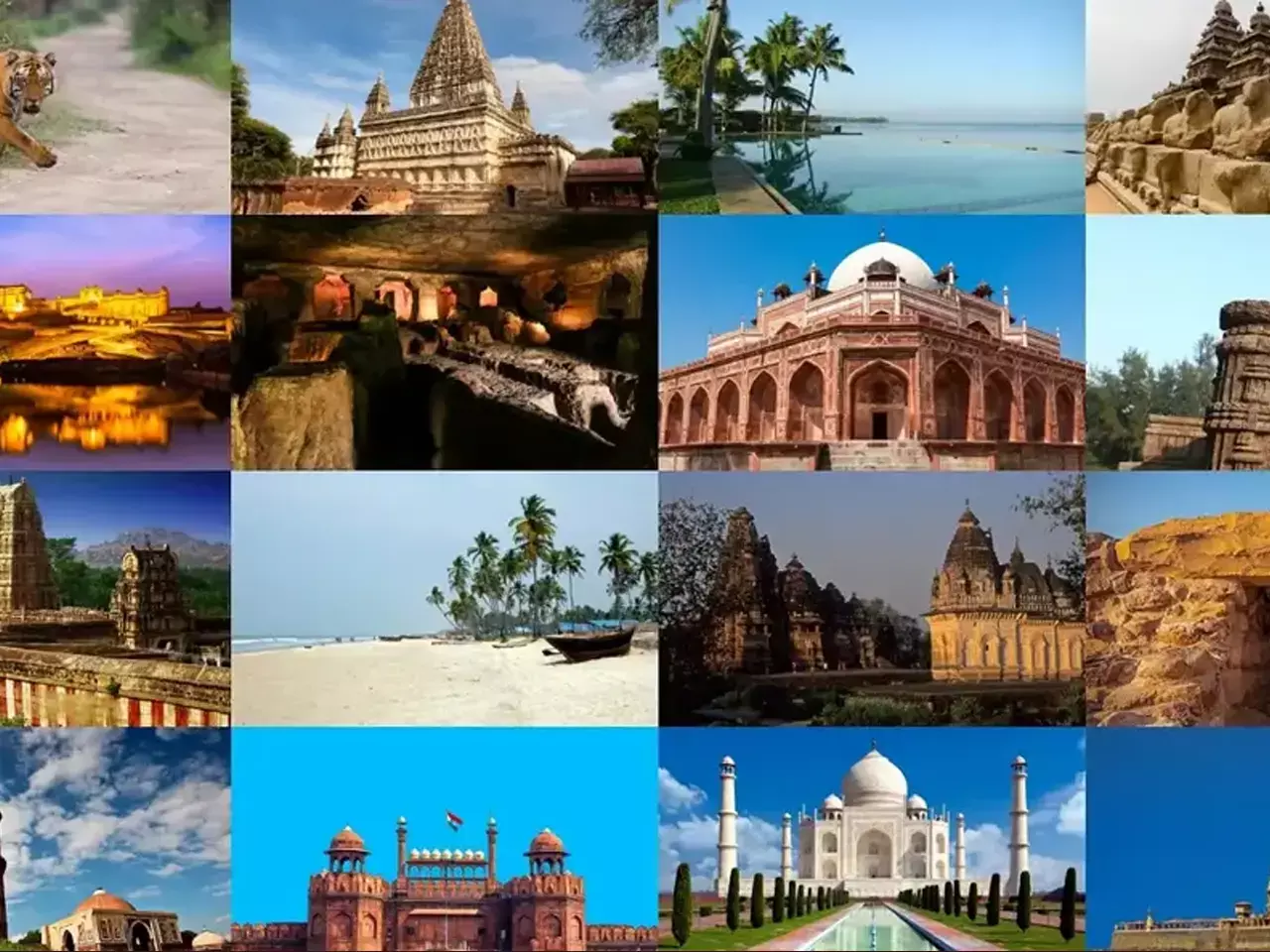 tourism, foreign arrivals will see a surge3