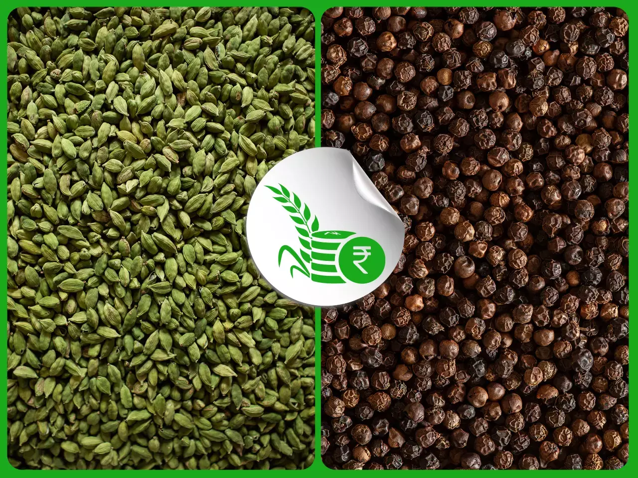 ഡിമാന്‍ഡ് വര്‍ധിച്ച് ഏലം;   ഇടിഞ്ഞ് കുരുമുളക് വില