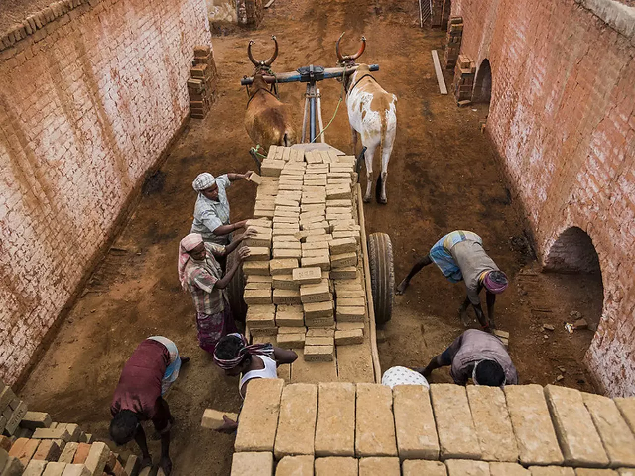 survey shows informal sector is growing