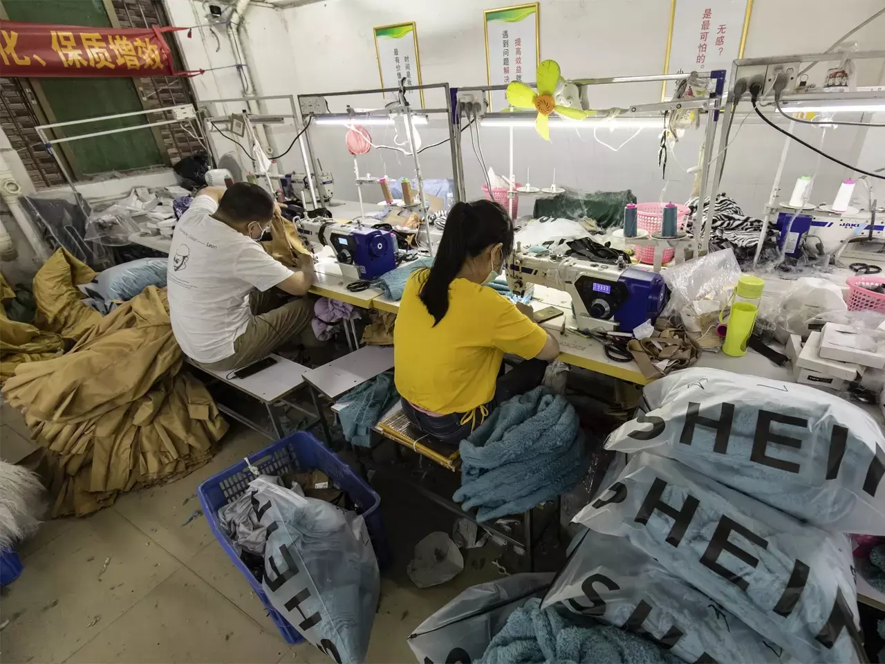 forced labor, shane in controversy forced labor, shane in controversy