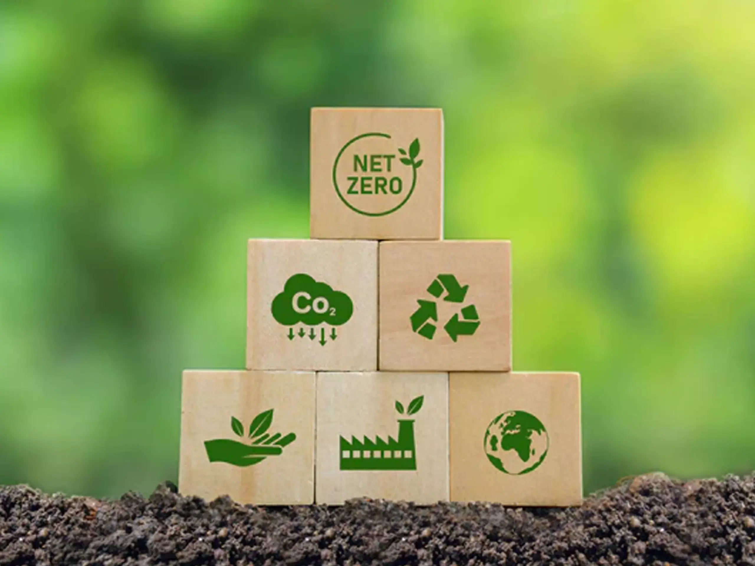 കാര്ബണ് പുറംതള്ളല്; പദ്ധതി ബജറ്റില് പ്രഖ്യാപിച്ചേക്കും കാര്ബണ് പുറംതള്ളല്; പദ്ധതി ബജറ്റില് പ്രഖ്യാപിച്ചേക്കും