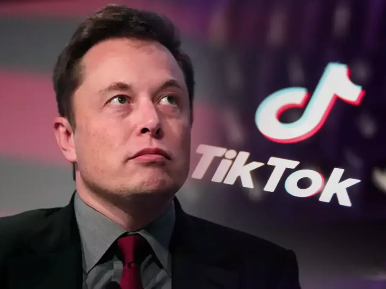 musk says he has no interest in acquiring tiktok