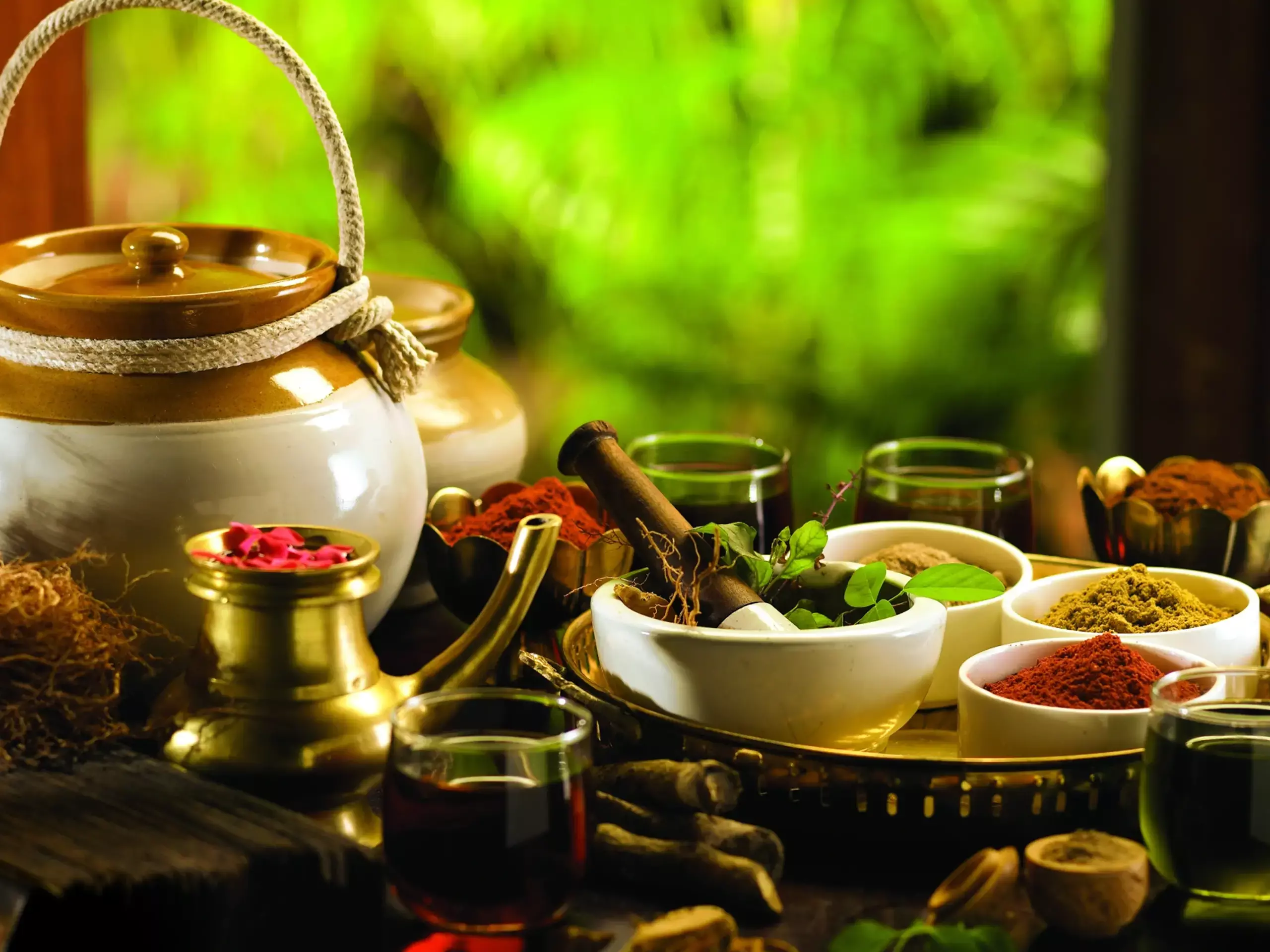 ആയുര്‍വേദം; കേരളം വളരേണ്ടേ? നിർദേശങ്ങളുമായി ബയോ കണക്ട് 4.0 ഉച്ചകോടി