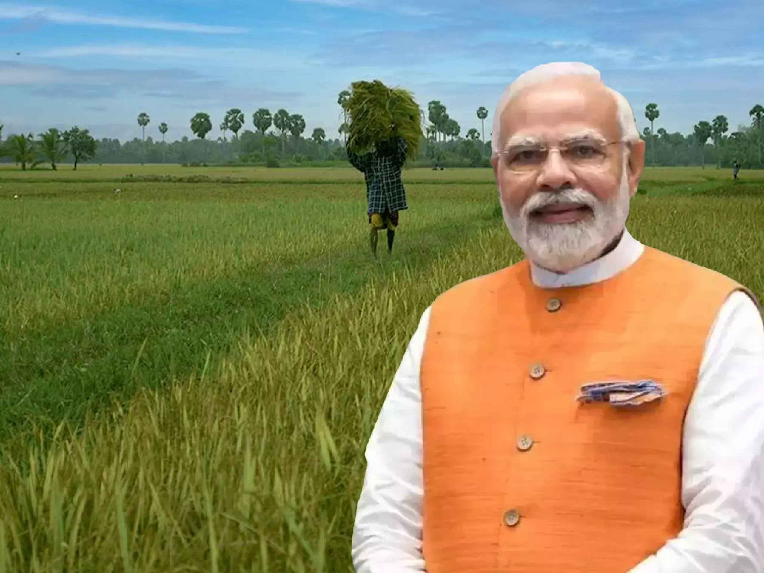 പിഎം കിസാന്: 19-ാം ഗഡു അനുവദിച്ച് കേന്ദ്ര സർക്കാർ പിഎം കിസാന്: 19-ാം ഗഡു അനുവദിച്ച് കേന്ദ്ര സർക്കാർ