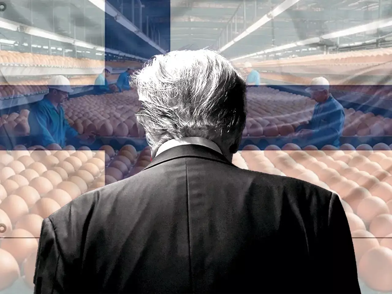 trump in europe looking for chicken eggs, finland says no