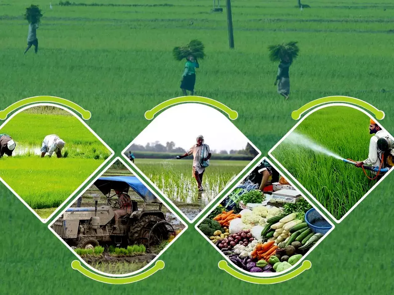 farmer producer groups can apply for financial assistance