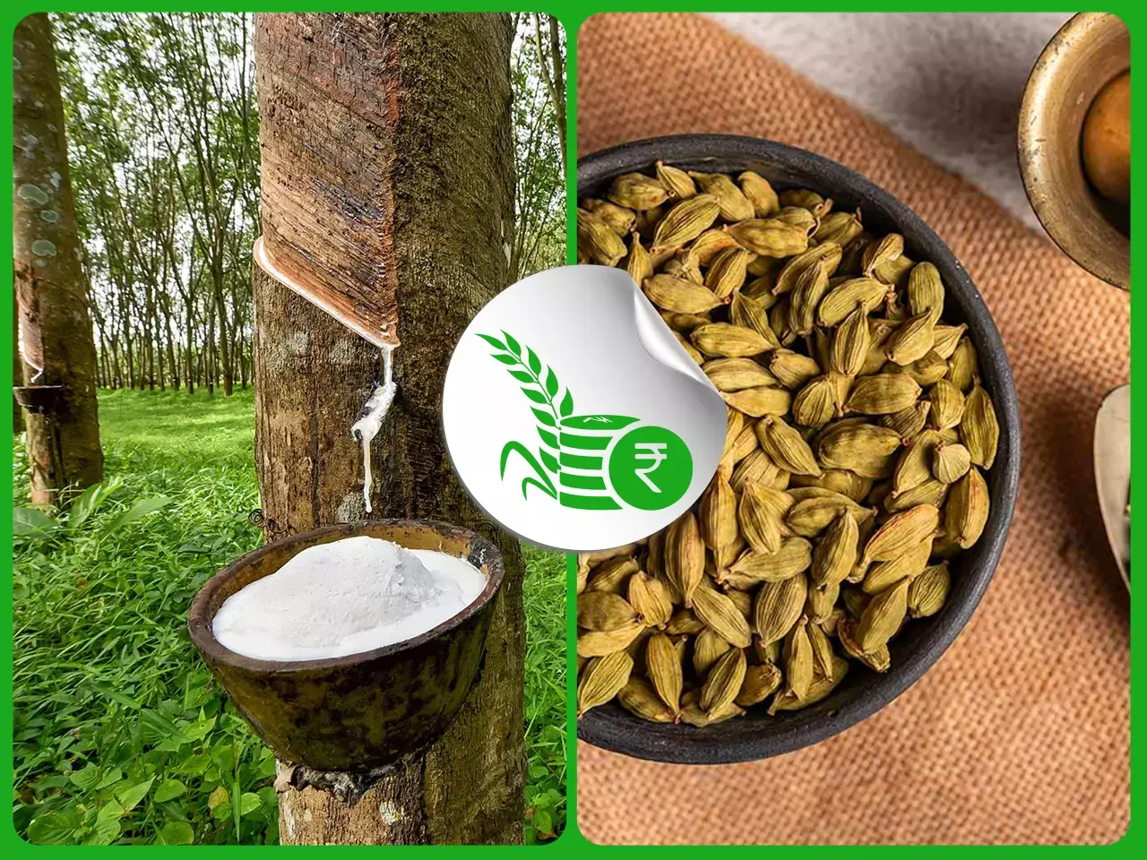 റബറിന് മങ്ങല്‍;  ഏലത്തിന് പ്രതീക്ഷ