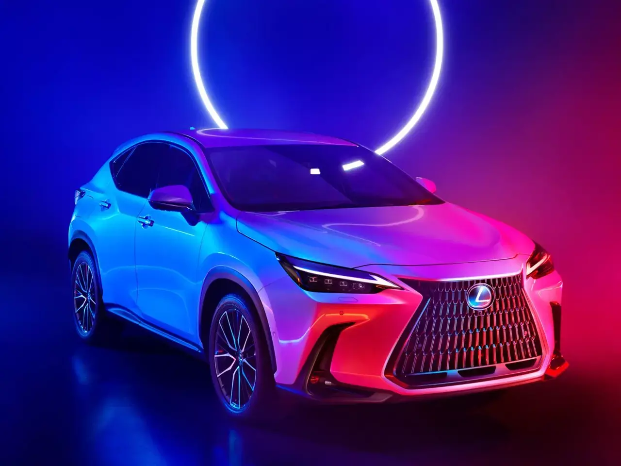 lexus indias retail sales rise 19%