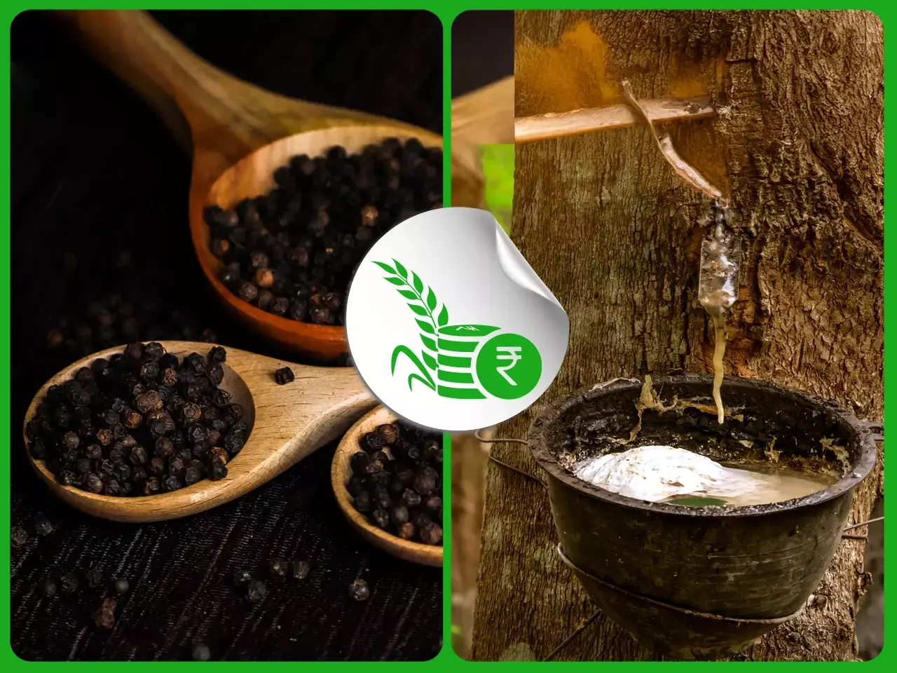 വയനാടന്‍ കുരുമുളകിന് ഡിമാന്റ്;  റബര്‍വില ഉയര്‍ത്താതെ വ്യവസായികള്‍