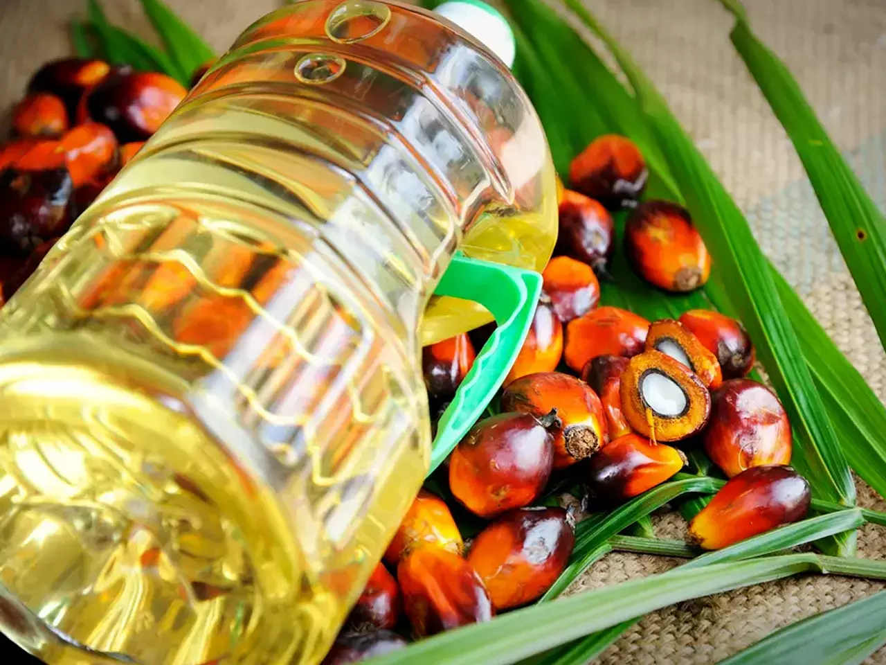 Palm oil imports drop by 24 percent