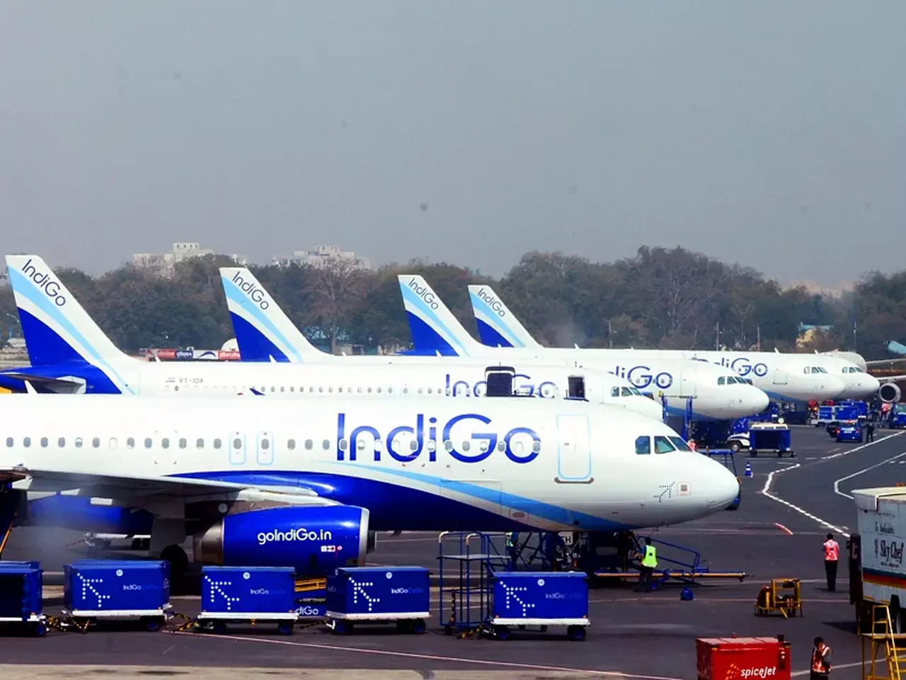 indigo cancels over 165 domestic services