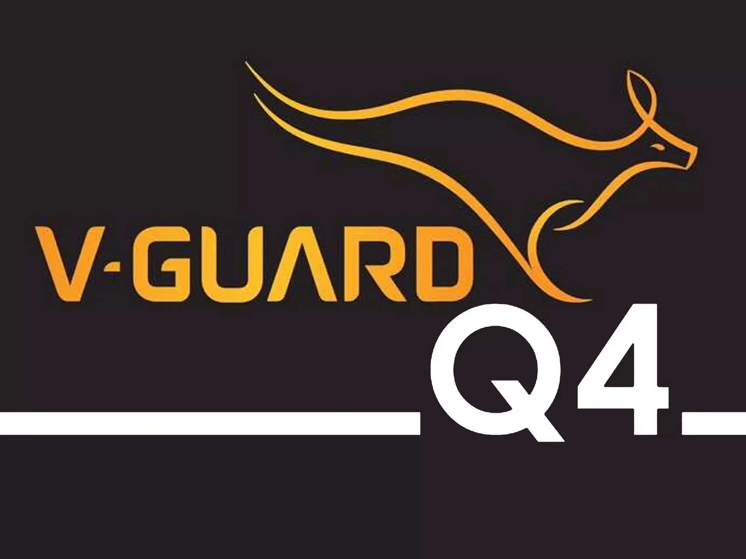 വിഗാര്‍ഡ് വരുമാനത്തില്‍ 19.6 % വര്‍ധന