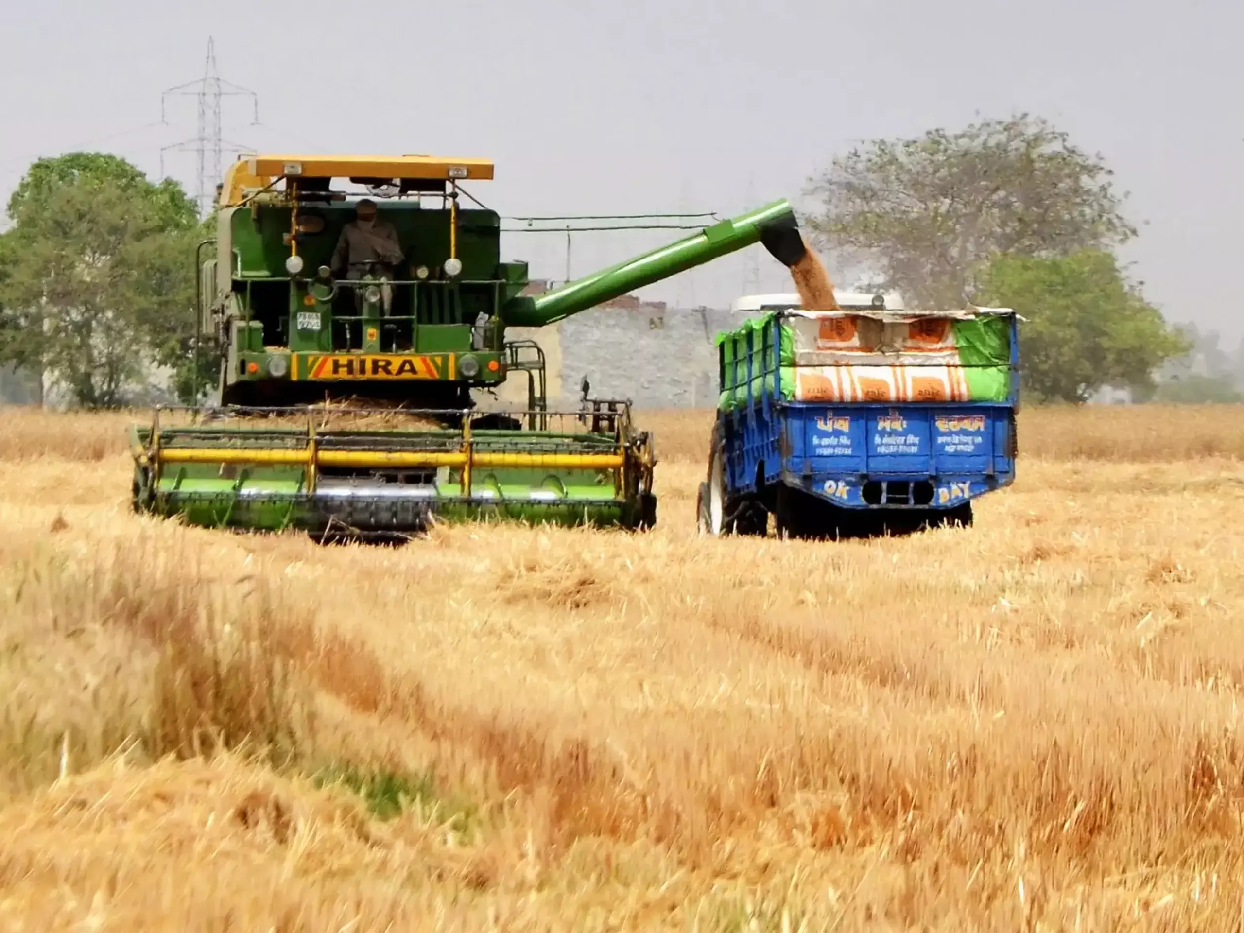 രാജ്യത്തെ ഭക്ഷ്യ ധാന്യ ഉല്‍പ്പാദനം  കുതിച്ചുയര്‍ന്നു; വളര്‍ച്ച 6.6 ശതമാനം