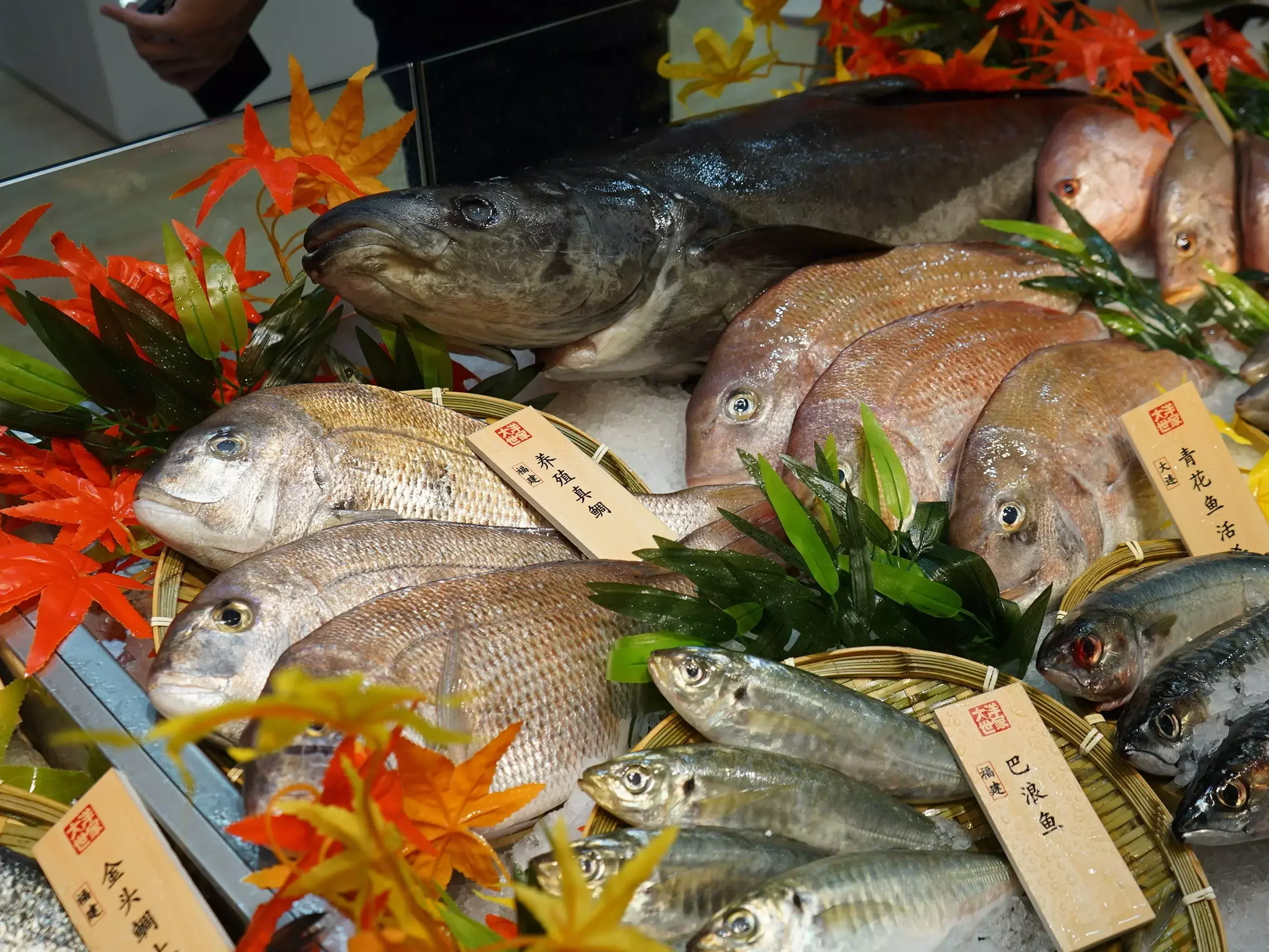 ഇന്ത്യന്‍ സമുദ്രോല്‍പ്പന്ന വിപണി തിളങ്ങും