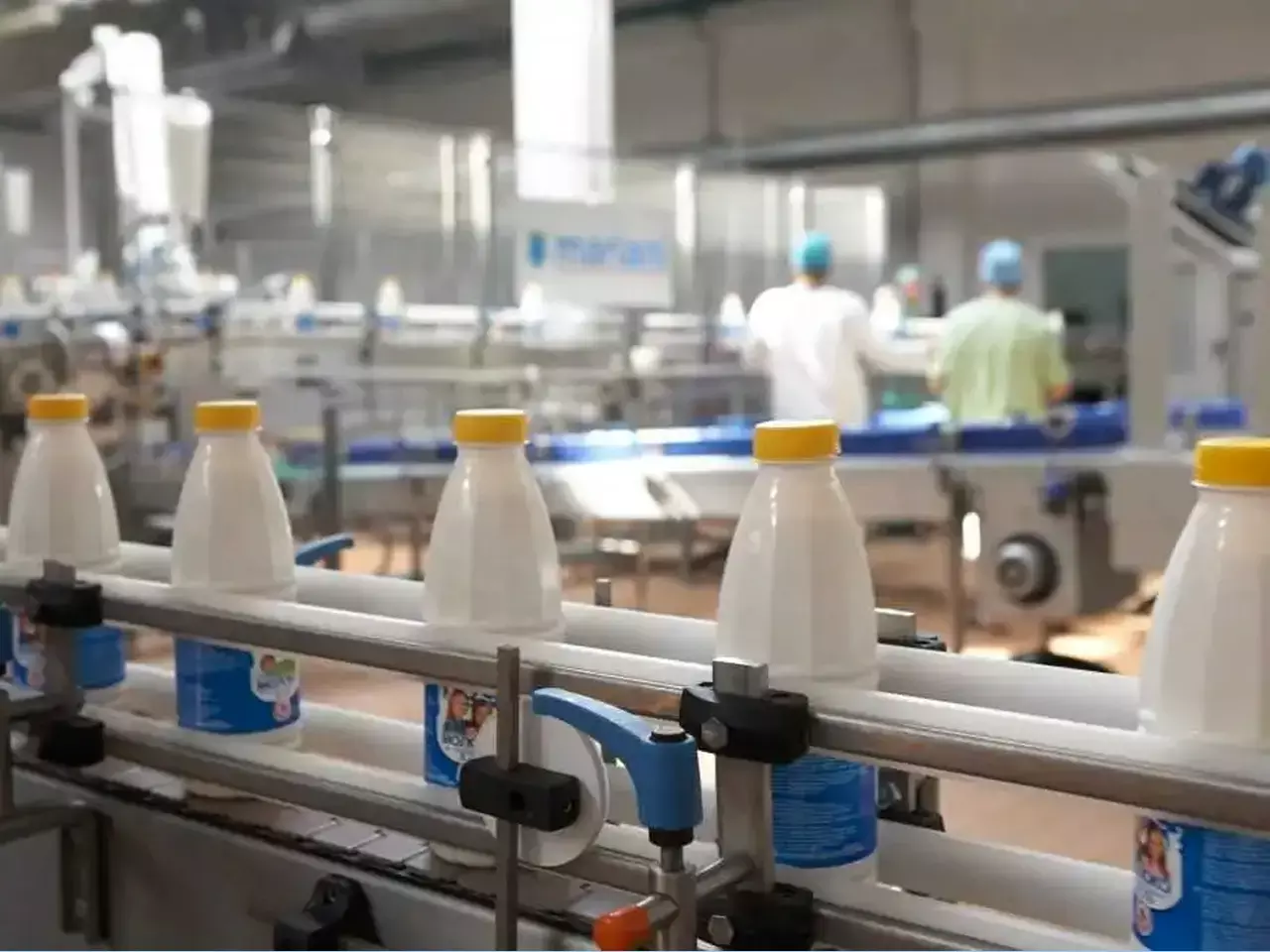 dairy companies to witness strong growth, report says