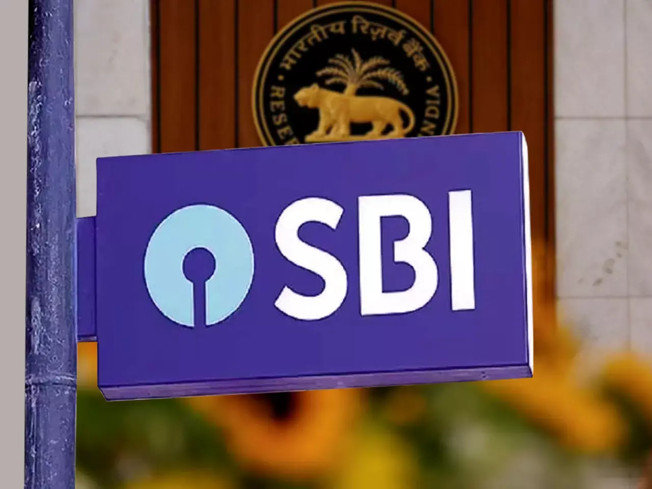 sbi says rbi may cut interest rates by 50 basis points