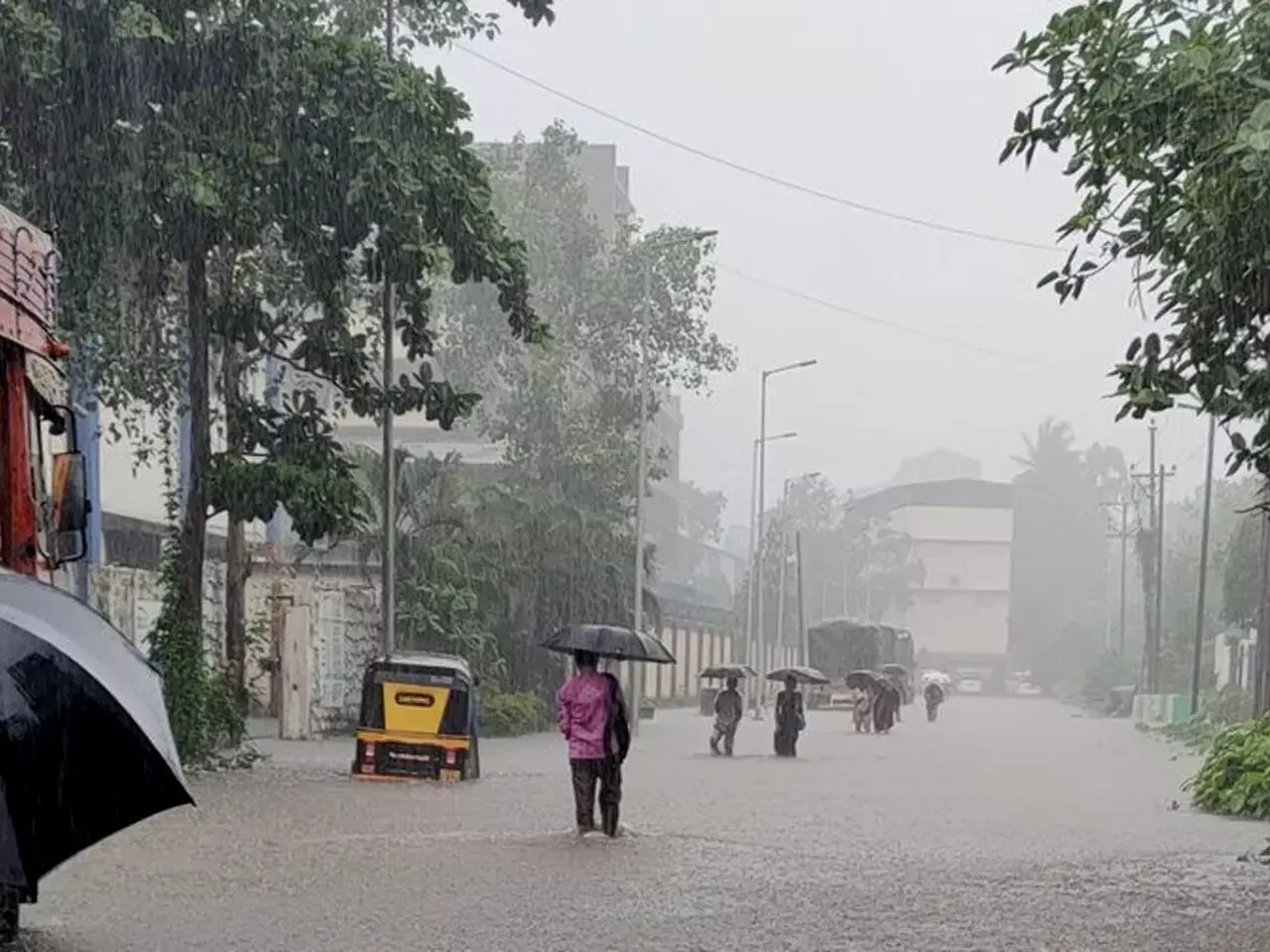 heavy rain likely in the state, yellow alert in seven districts