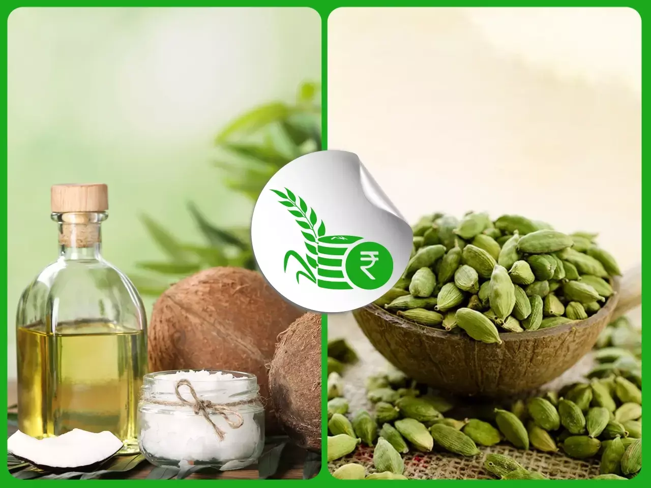 ഏലം വിളവെടുപ്പ് ഊര്‍ജിതം;  വെളിച്ചെണ്ണവില താഴേക്കുതന്നെ