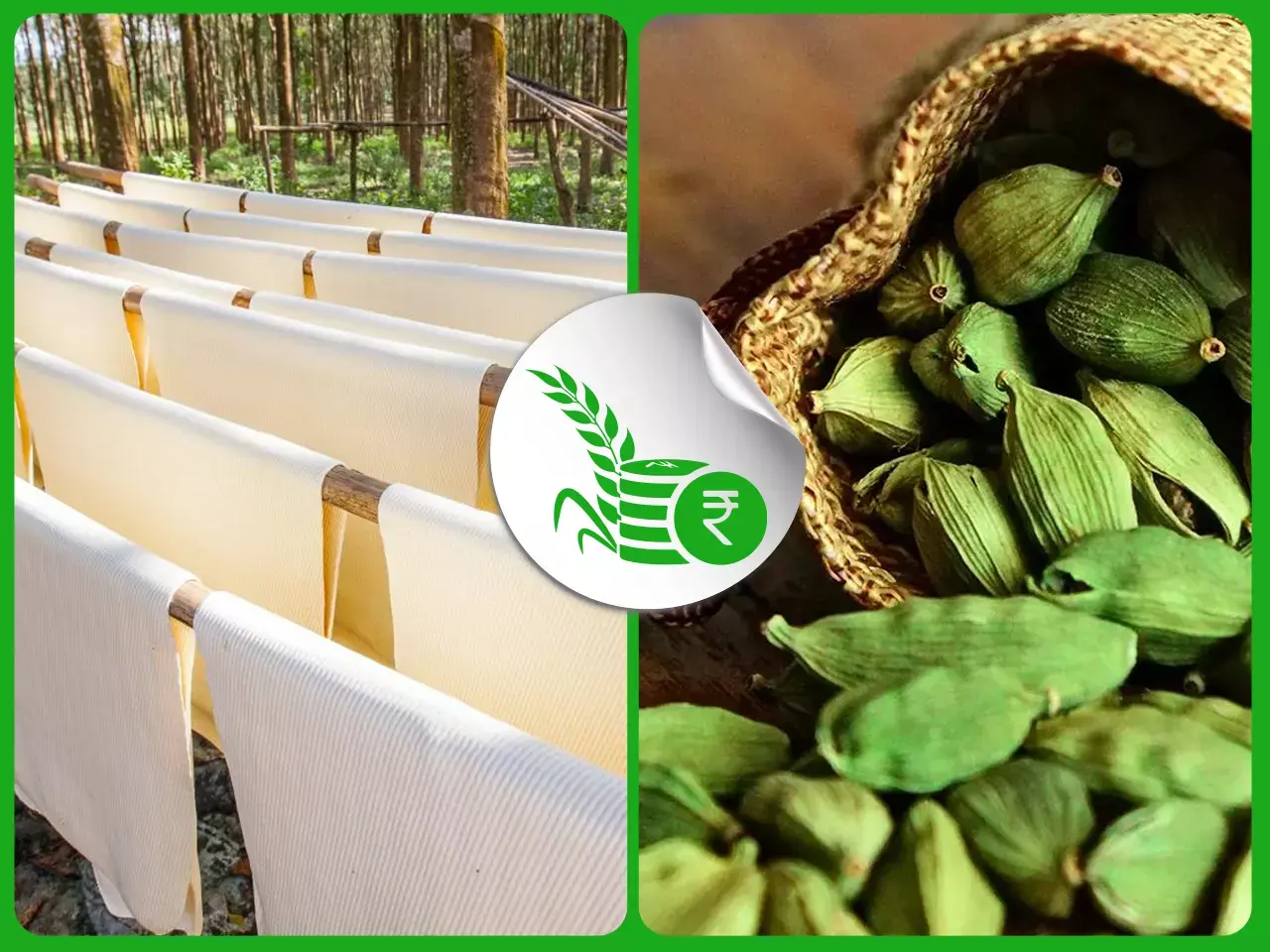 commodities market rate 13 08 2025