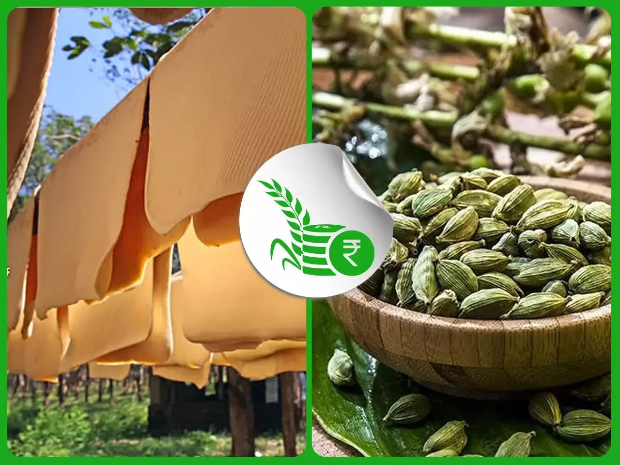 ഏലം വിപണി സജീവം;  റബര്‍ വിലയില്‍ ഇടിവ്