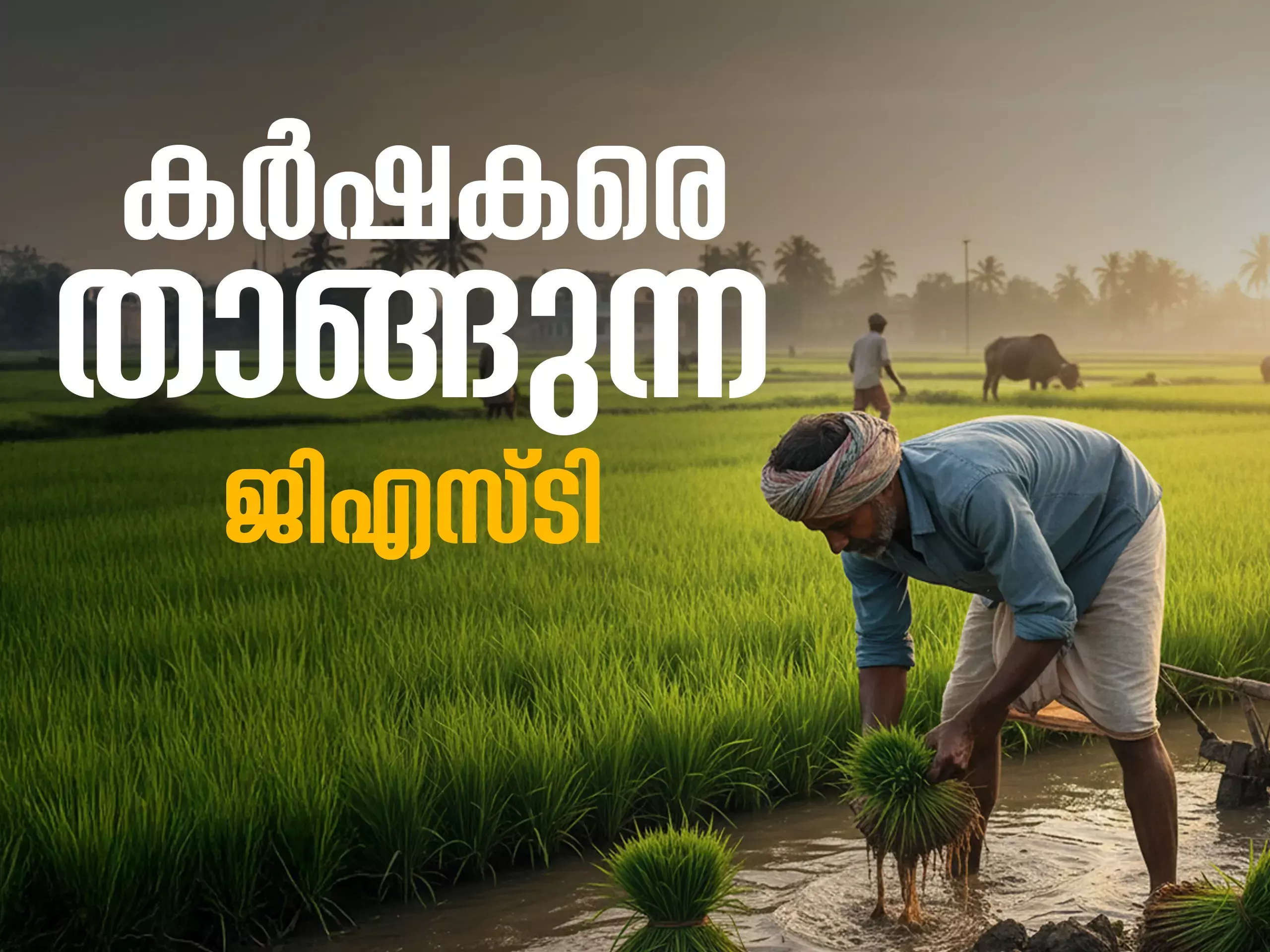 ജിഎസ്ടി മാറ്റം കാര്ഷിക മേഖലയ്ക്ക് നേട്ടമാകും ജിഎസ്ടി മാറ്റം കാര്ഷിക മേഖലയ്ക്ക് നേട്ടമാകും